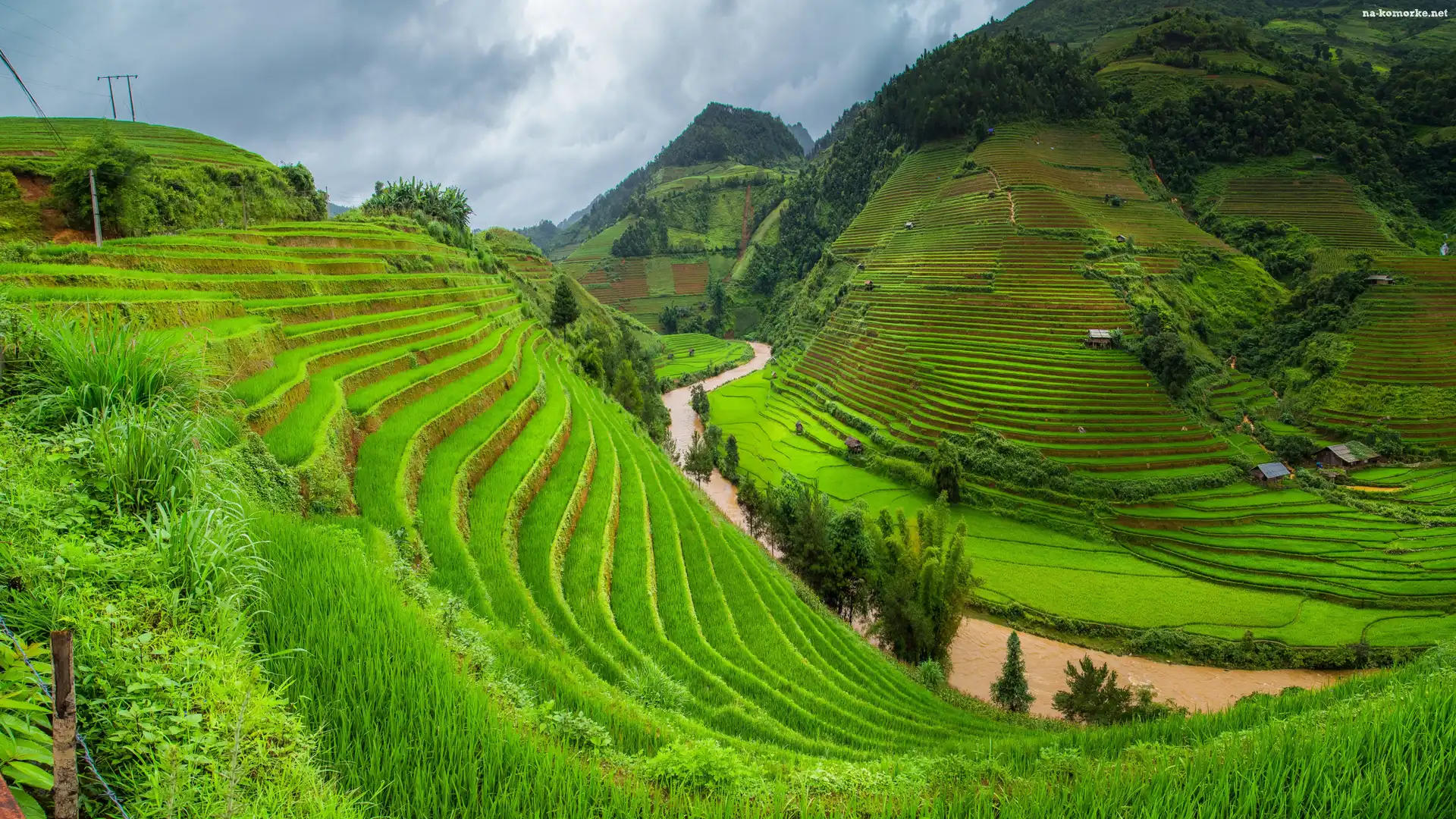Wzgórza, Prowincja Lao Cai, Wietnam, Pola, Uprawne, Tarasy ryżowe, Sa Pa