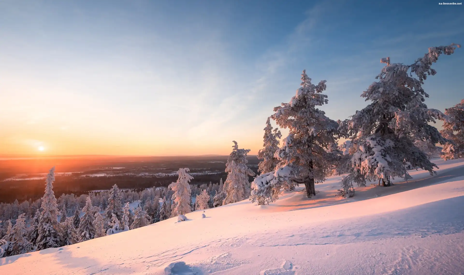 Park Narodowy Riisitunturi, Drzewa, Zima, Finlandia, Zachód słońca, Laponia