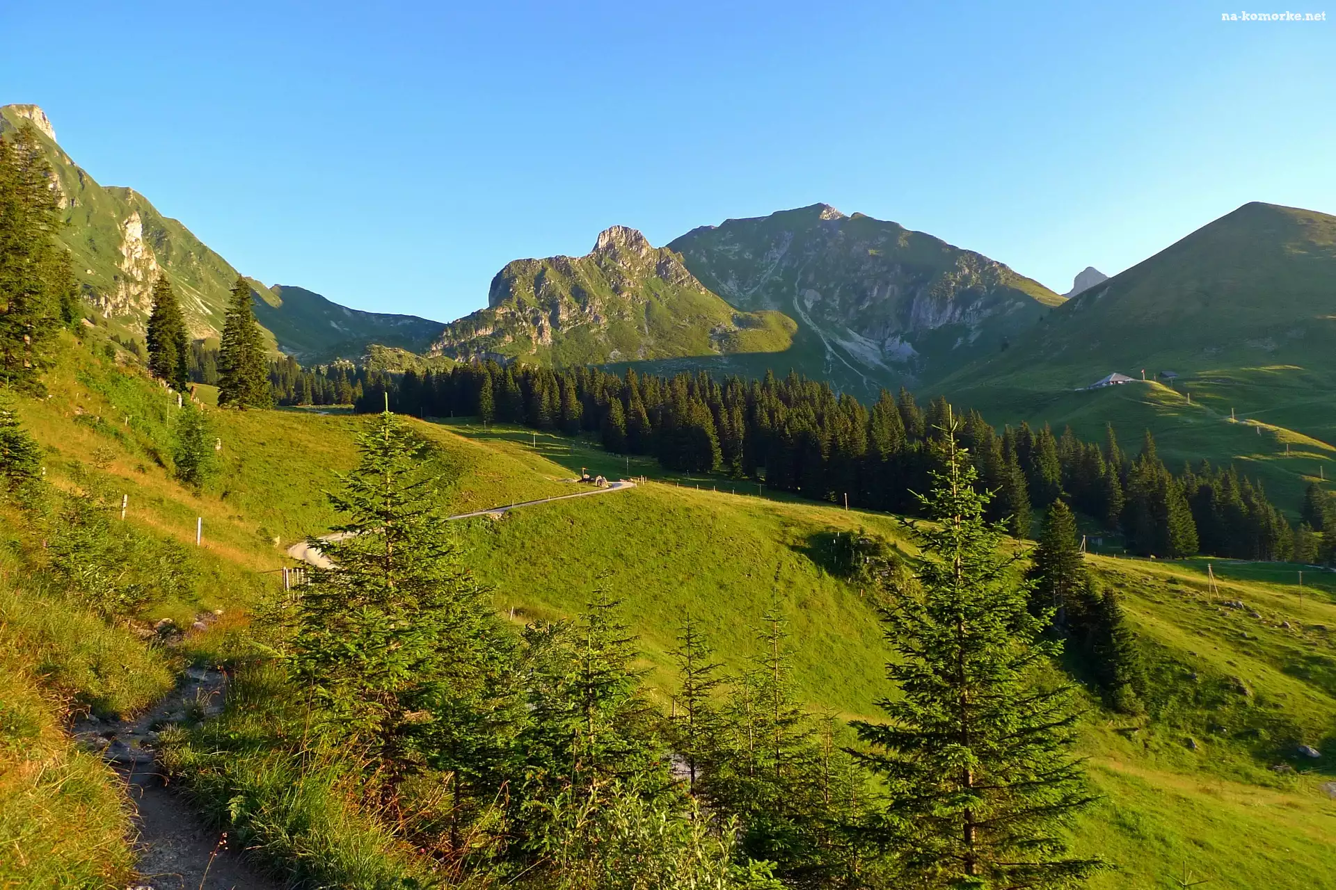 Łąka, Las, Góry
