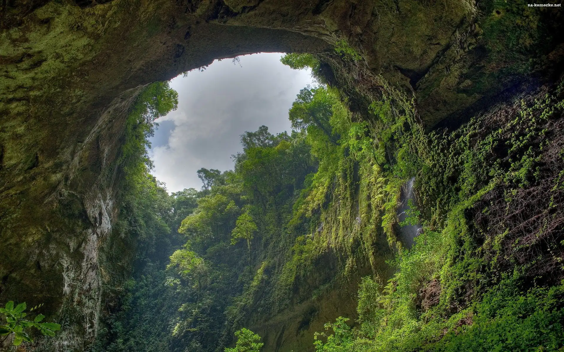Las, Jaskinia, Deszczowy, Amazonia
