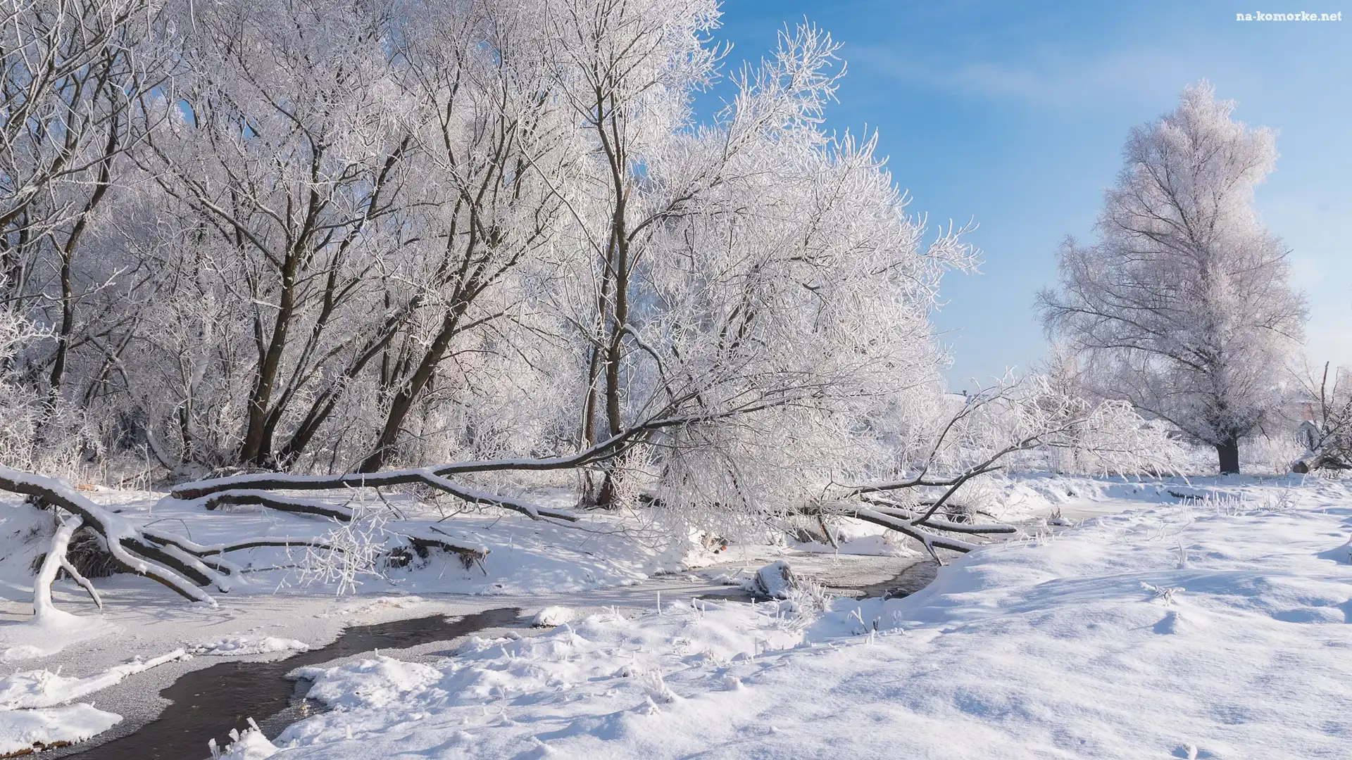 Las, Śnieg, Drzewa, Rzeczka