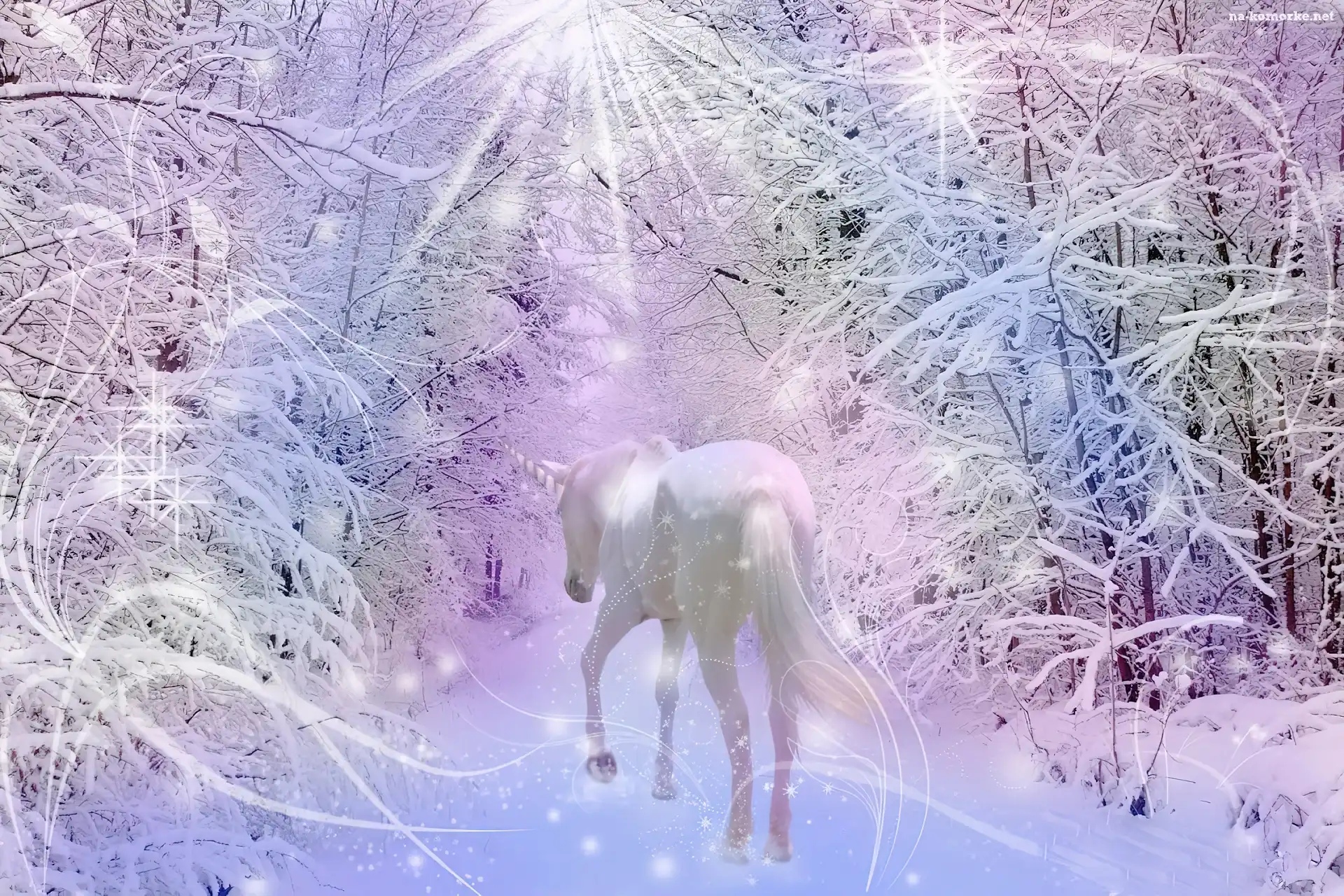 Fantasy, Las, Jednorożec