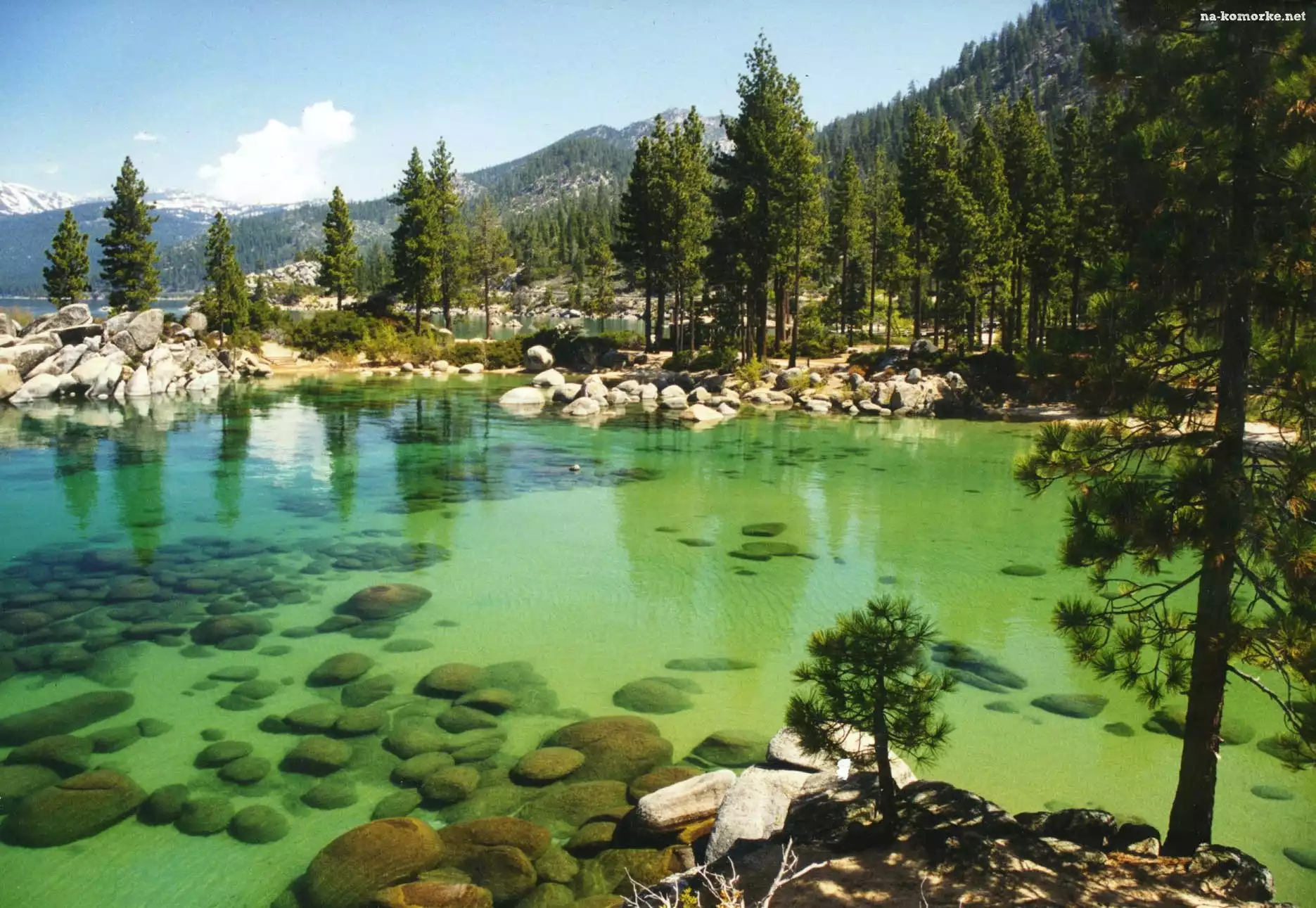 Las, Kamienie, Jezioro, Kalifornia, Góry, Tahoe