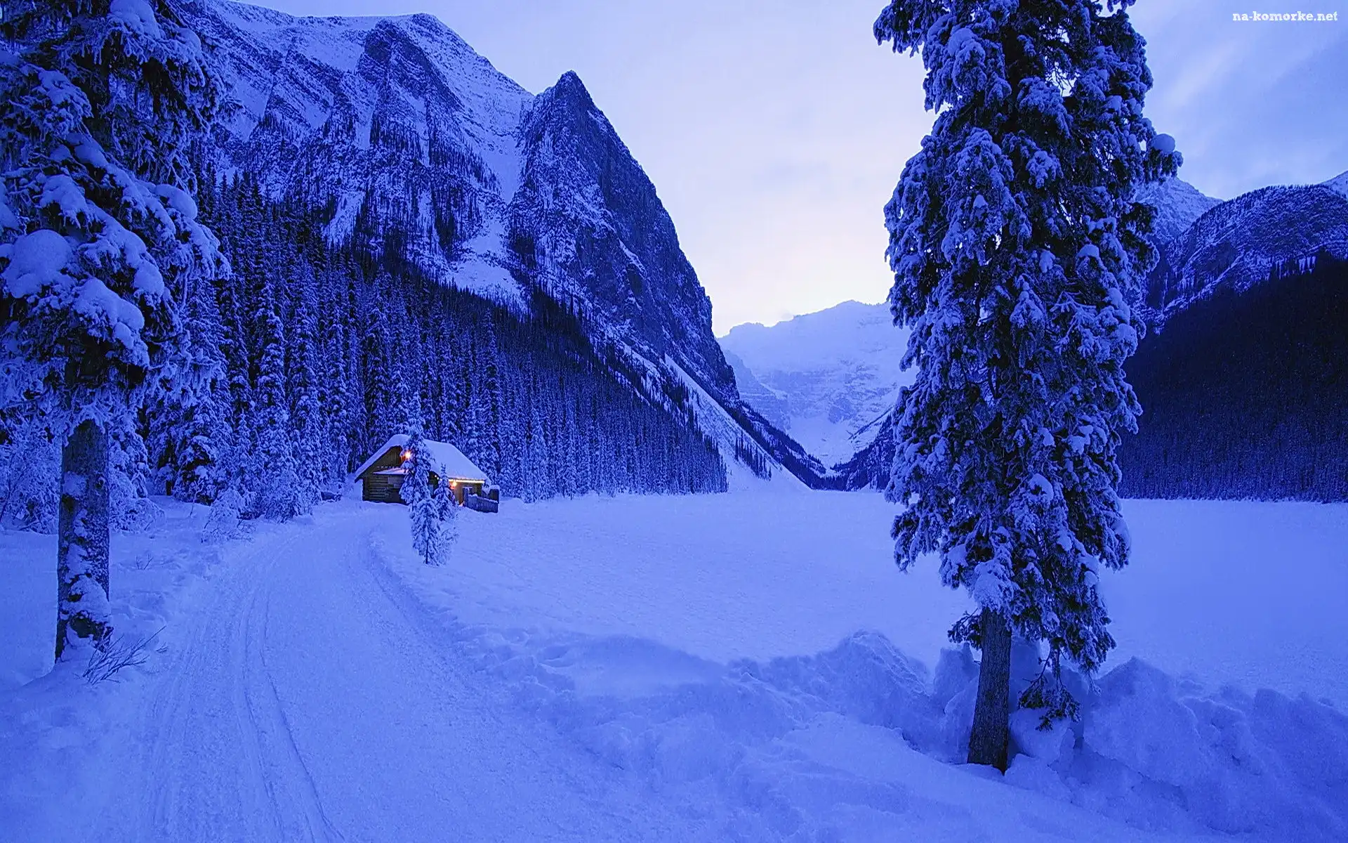 Góry, Las, Śnieg