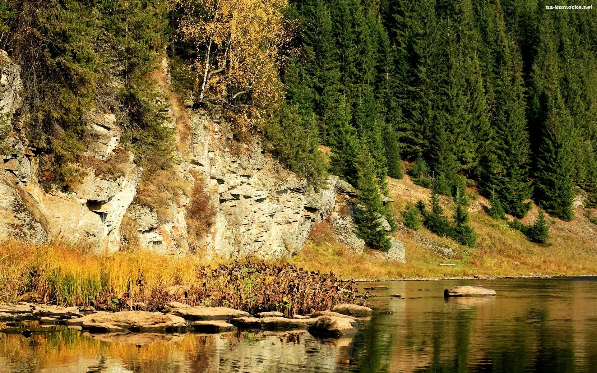 Góry, Las, Rzeka