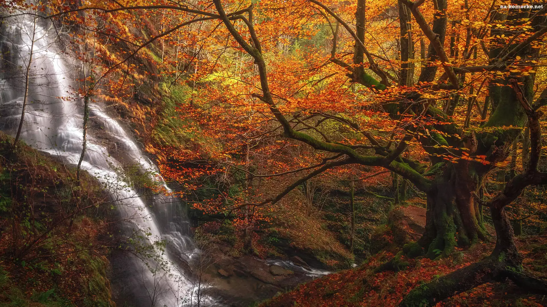 Las, Wodospad, Strumień, Jesień, Hiszpania, Uguna waterfall, Kraj Basków, Drzewa, Park Narodowy Gorbea