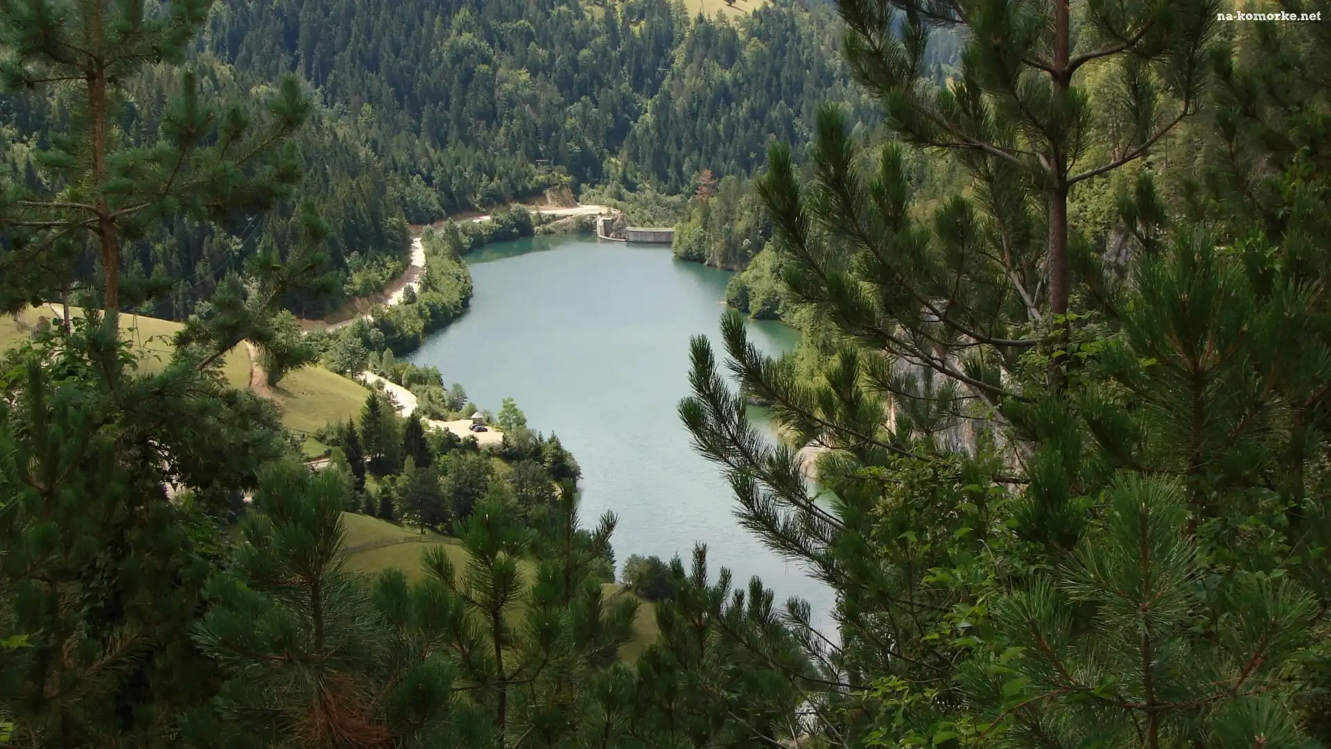 Las, Jezioro