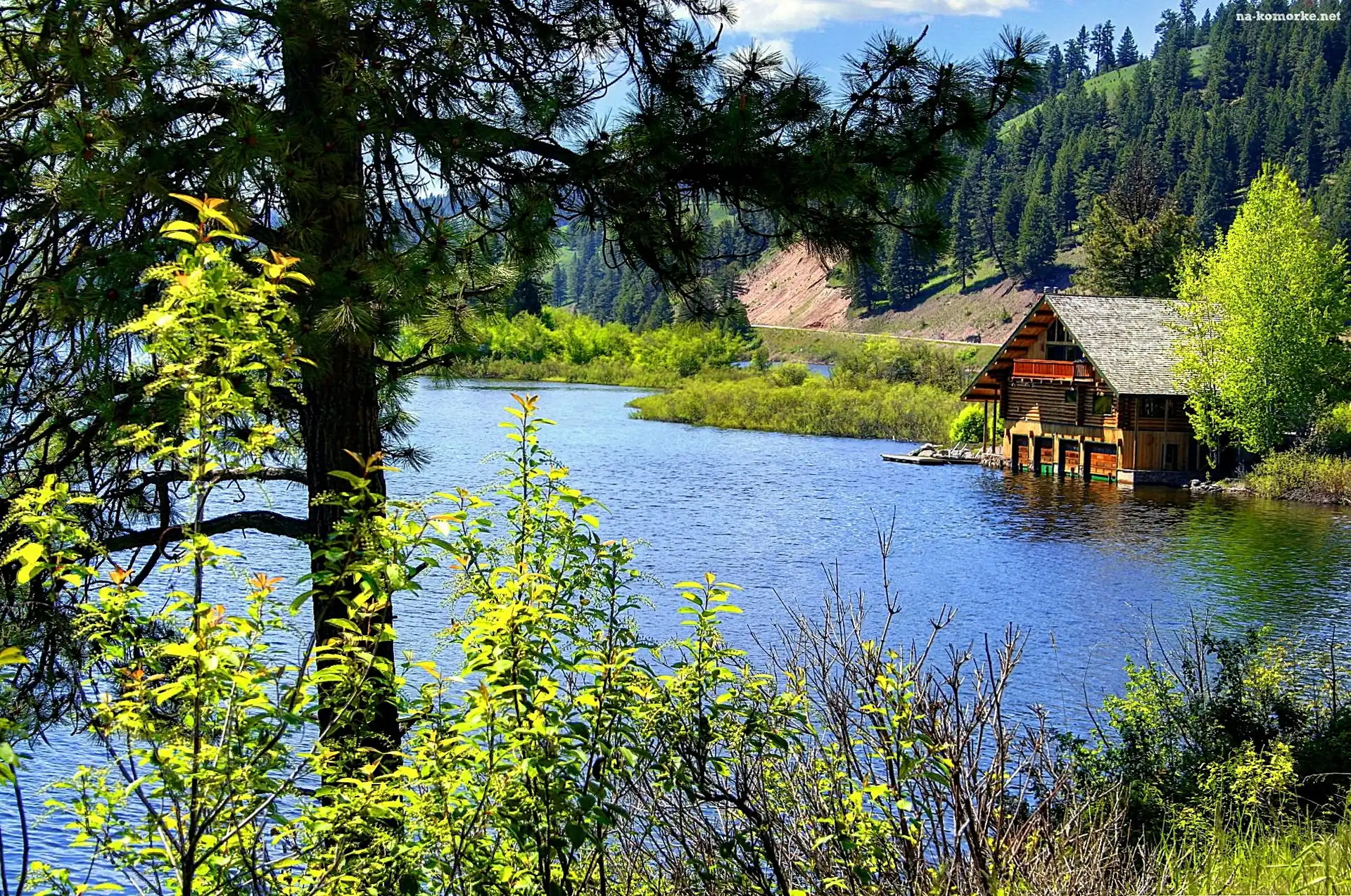 Jezioro, Las, Dom
