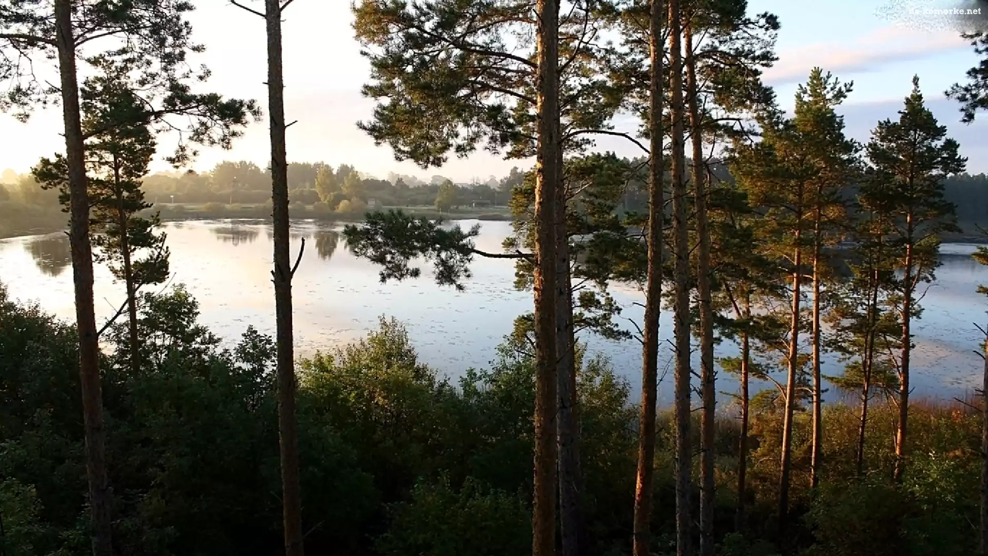 Las, Mgła, Jezioro, Poranek