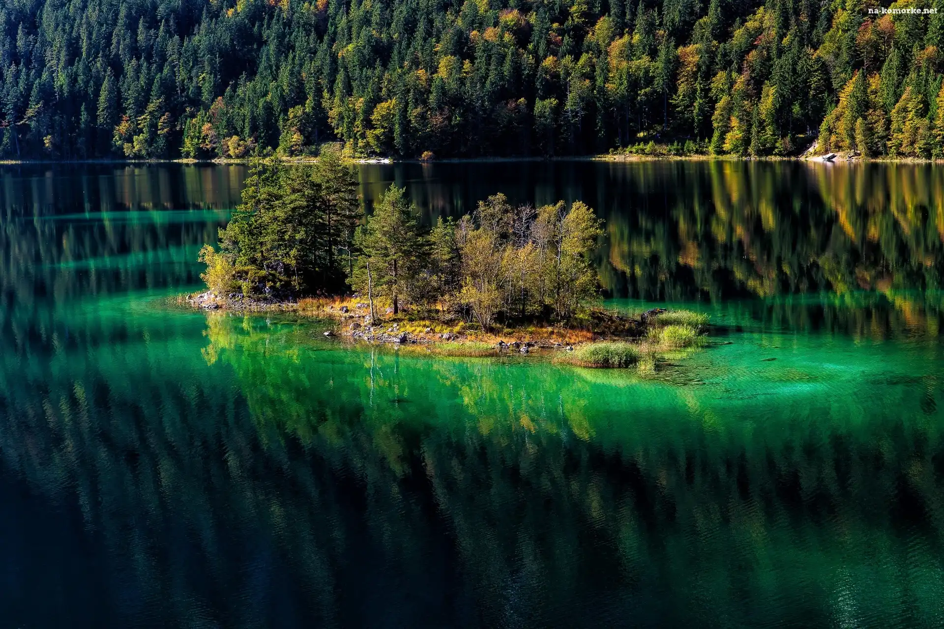 Las, Odbicie, Jezioro, Wyspa