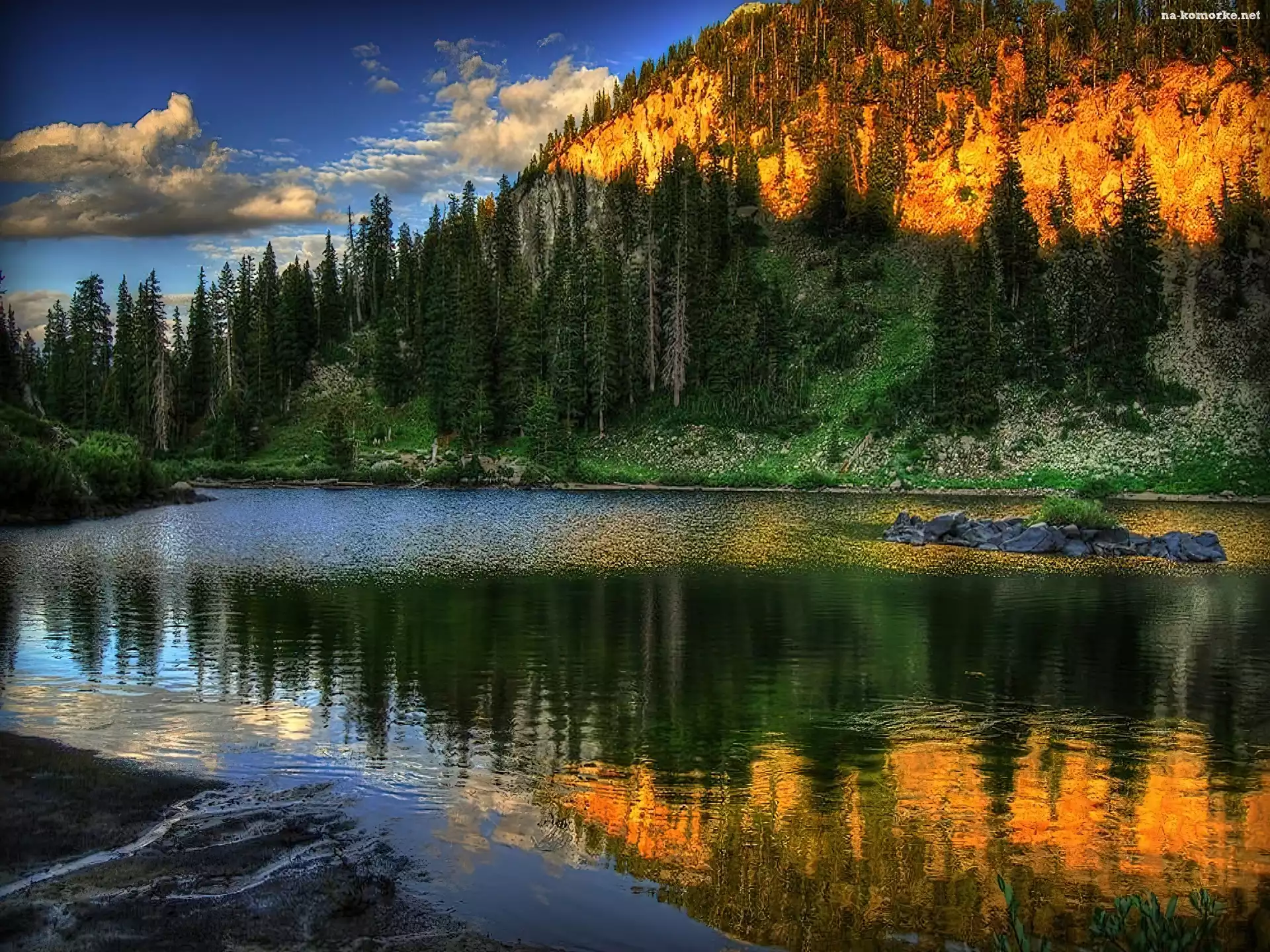 Las, Jezioro