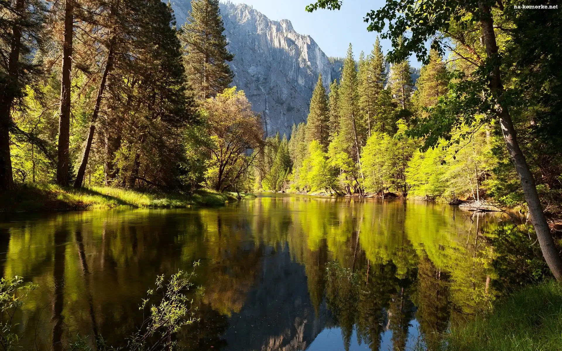 Góry, Stan Kalifornia, Stany Zjednoczone, Las, Park Narodowy Yosemite, Rzeka