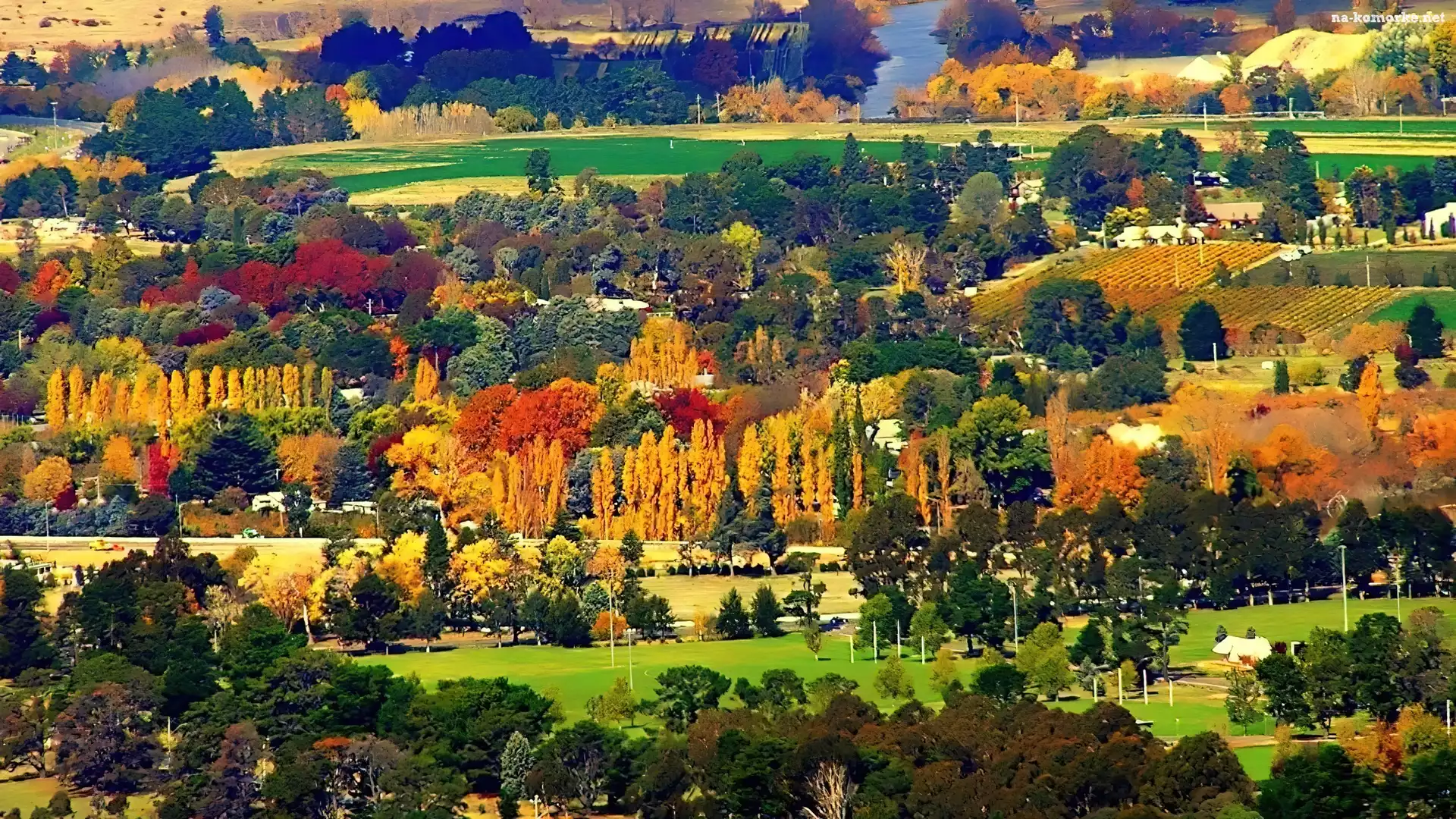 Las, Australia, Kolory, Queensland