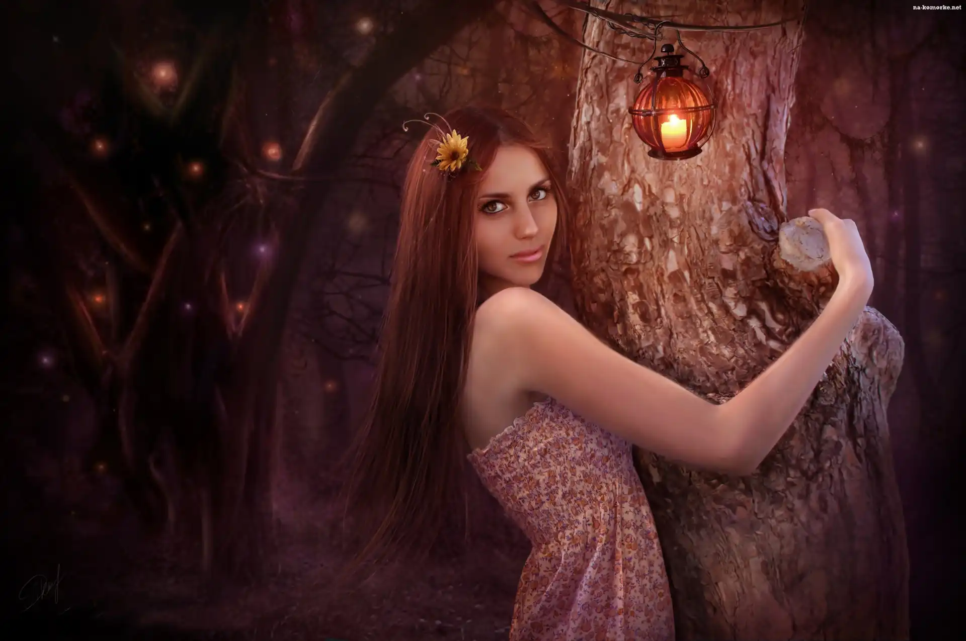 Las, Fantasy, Kobieta, Noc, Lampion, Drzewa