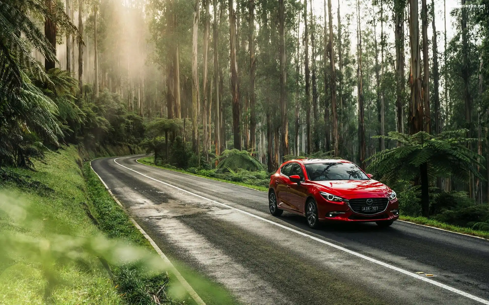 Droga, Czerwona, Mazda 3 SP25 Astina Sedan, 2016, Las