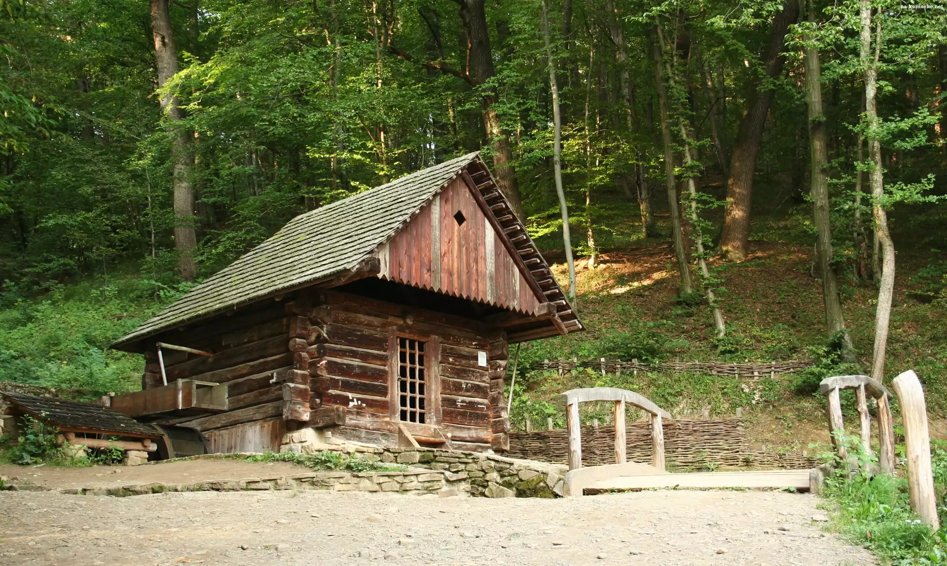 Las, Mostek, Młyn, Wodny