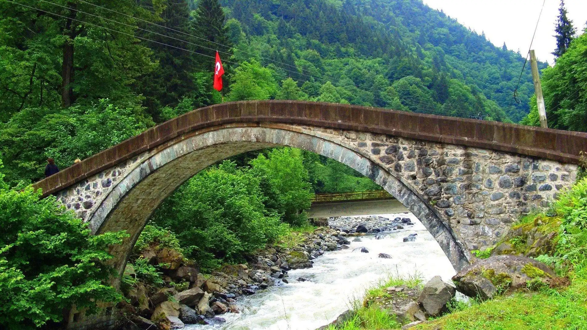 Most, Las, Rzeczka