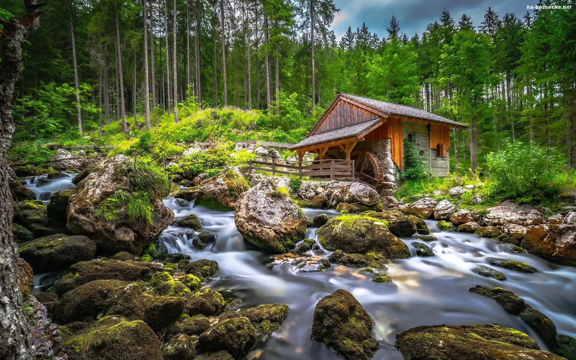Omszałe, Las, Młyn, Kamienie, Potok, Strumień, Drzewa
