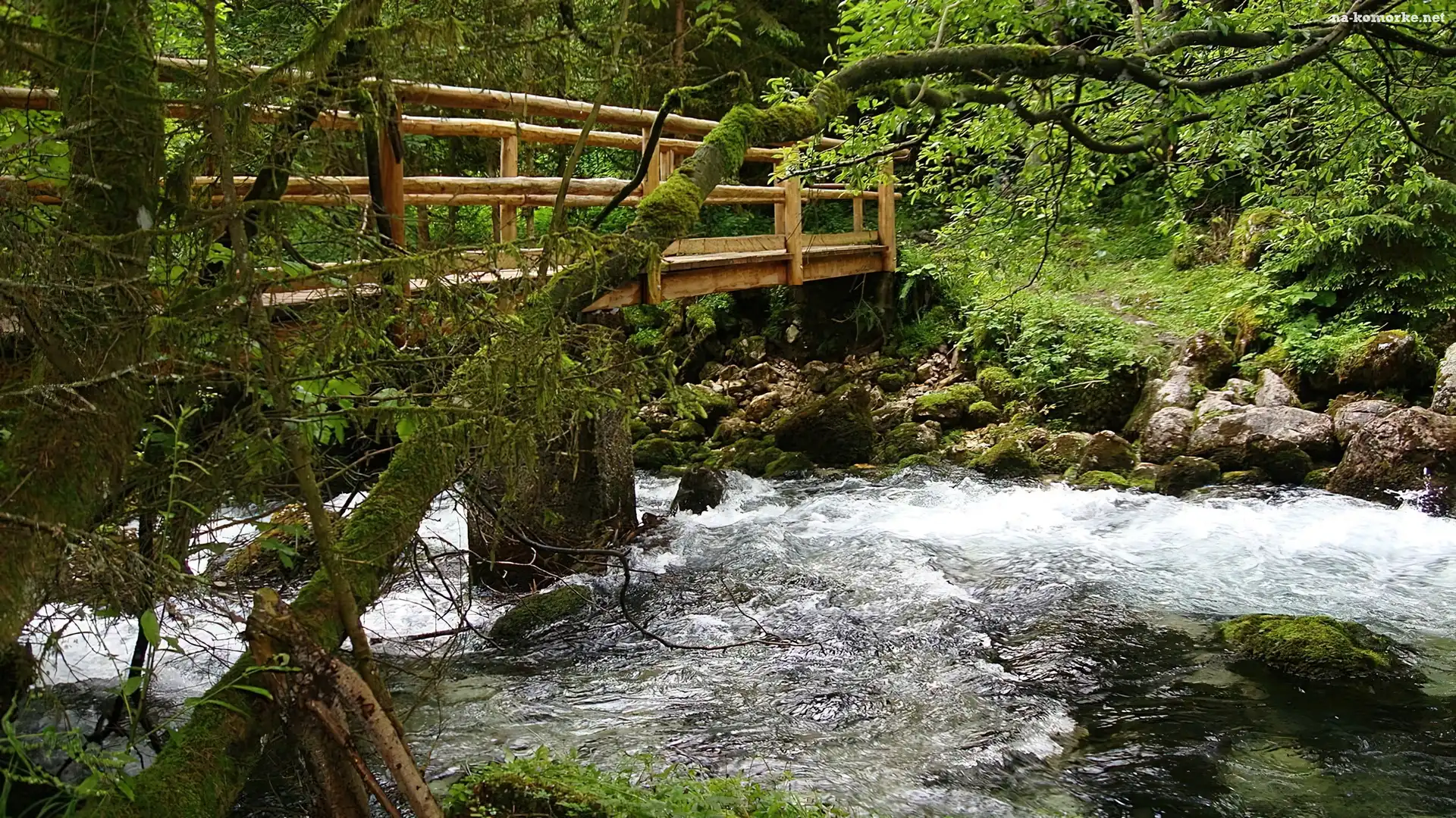 Las, Mostek, Rwąca, Rzeka