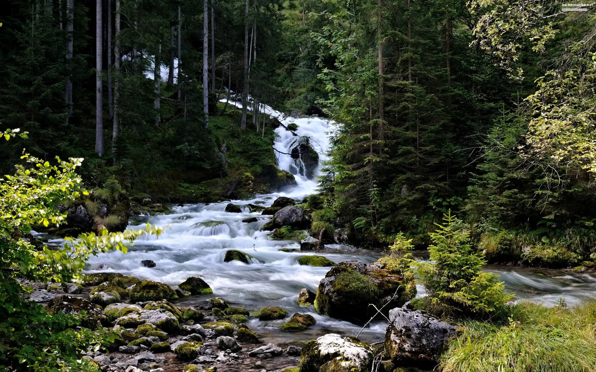 Las, Rzeka