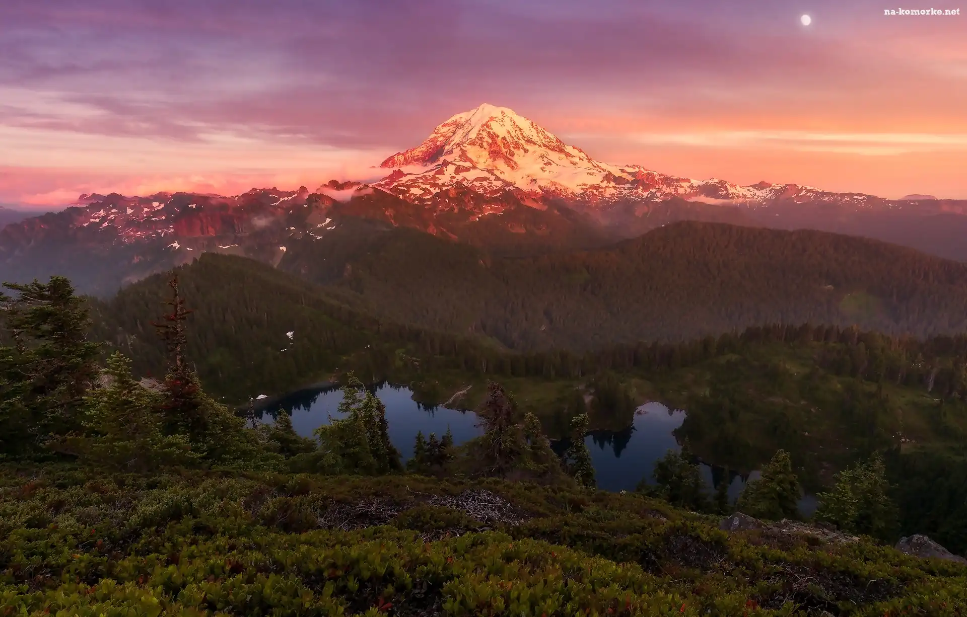 Las, Góry, Księżyc, Jezioro, Stany Zjednoczone, Góra Tolmie Peak, Stan Waszyngton, Zachód słońca, Park Narodowy Mount Rainier