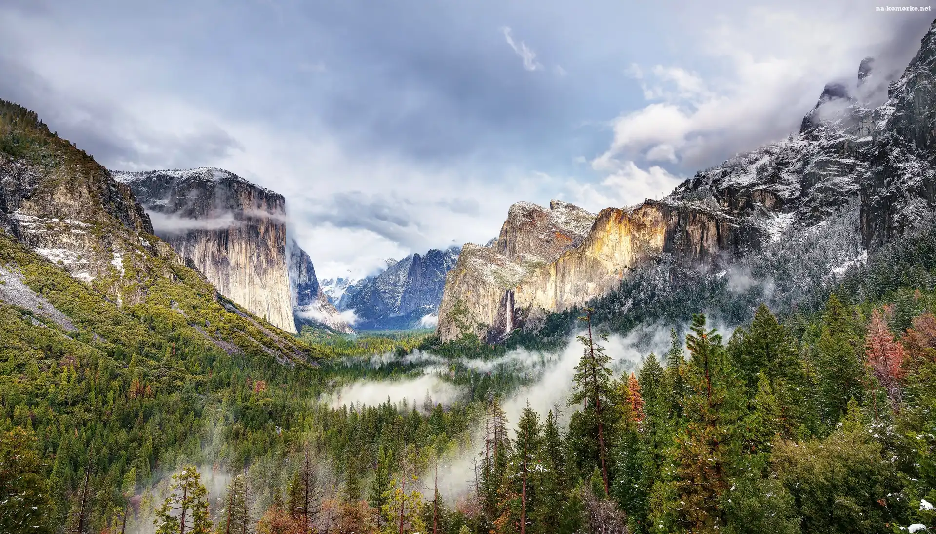 Góry, Kalifornia, Stany Zjednoczone, Mgła, Park Narodowy Yosemite, Las