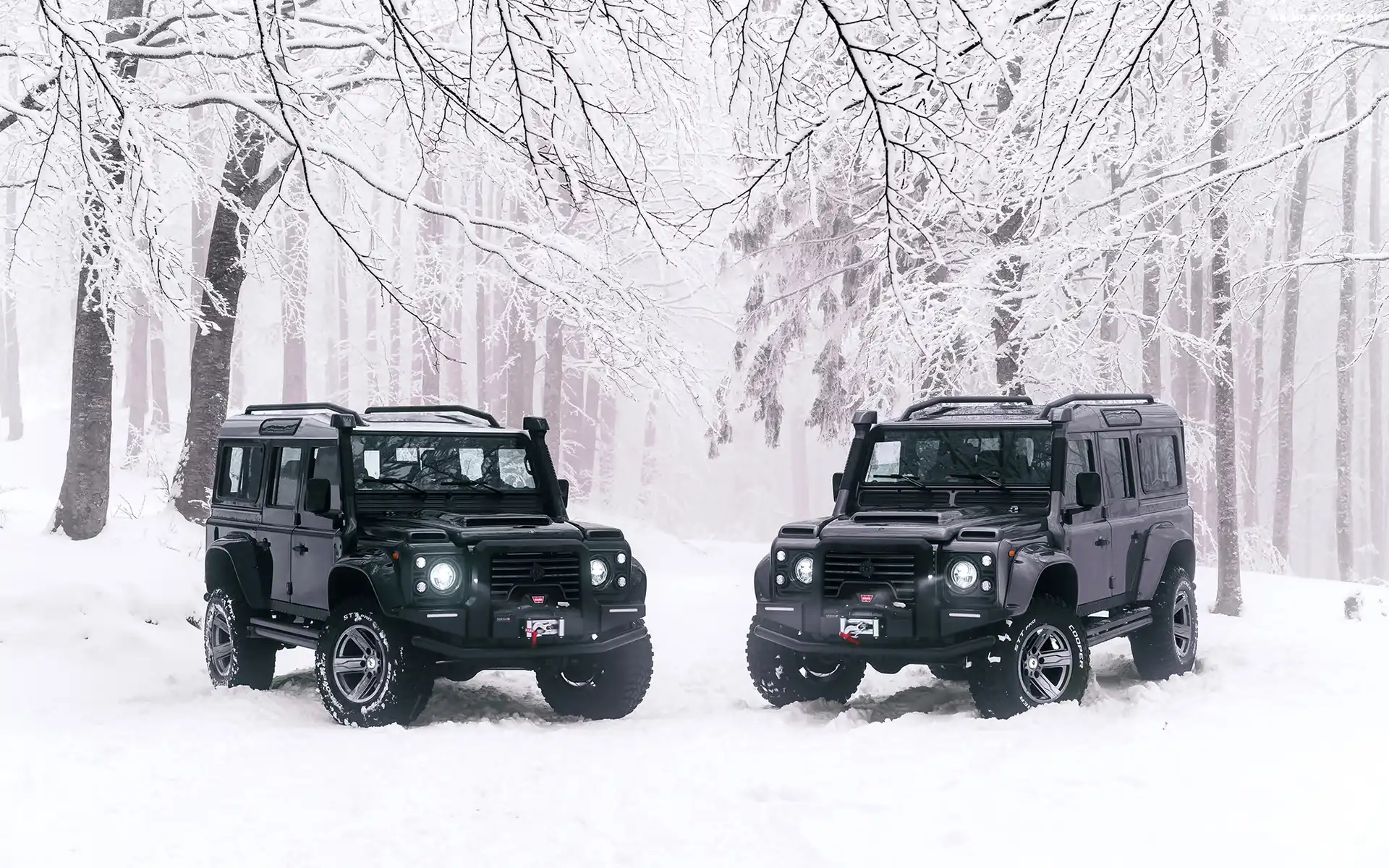 Dwa, Drzewa, Zima, Czarne, Land Rover Defender, 2018, Las