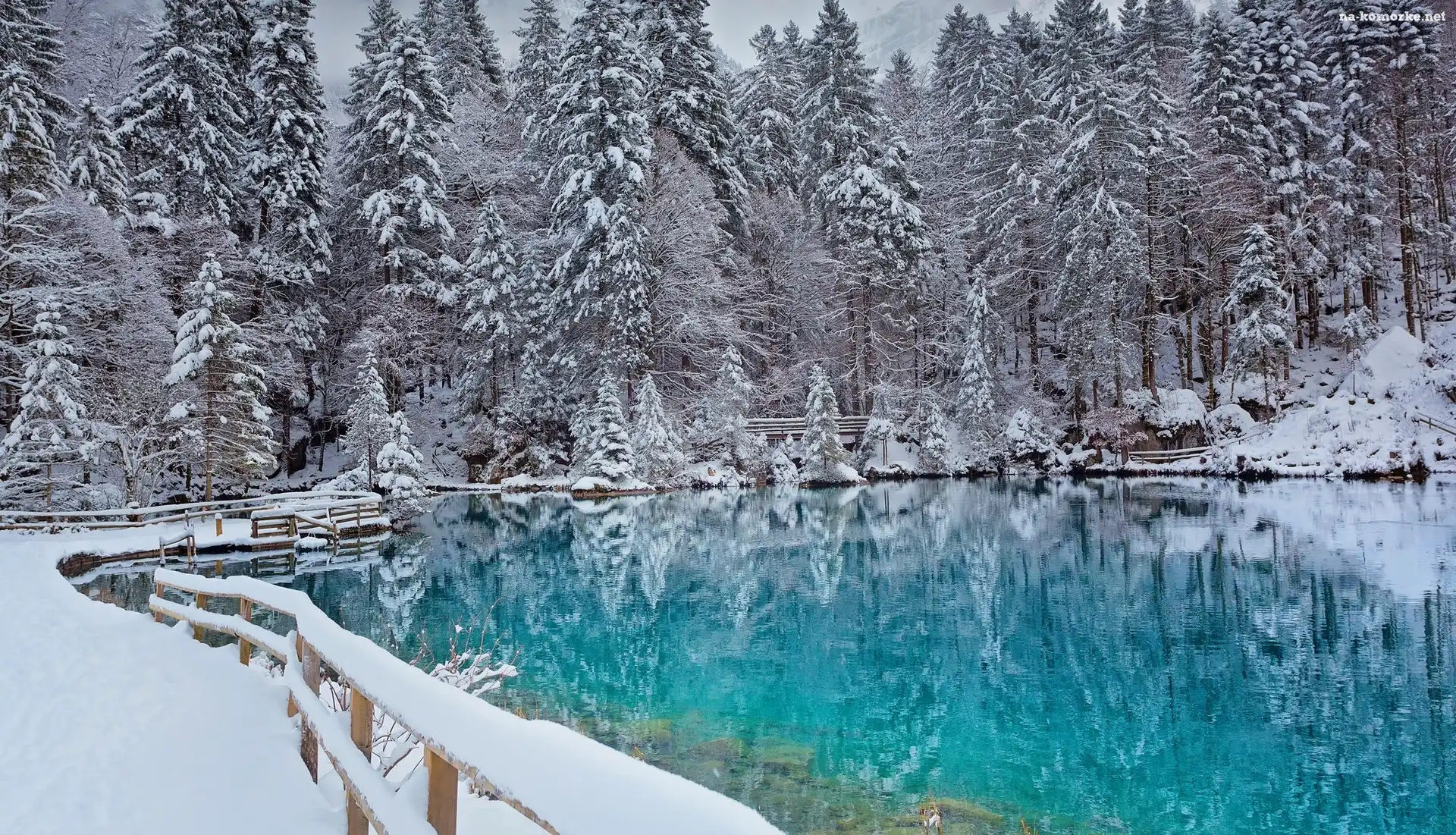 Śnieg, Zima, Jezioro, Las, Ogrodzenie