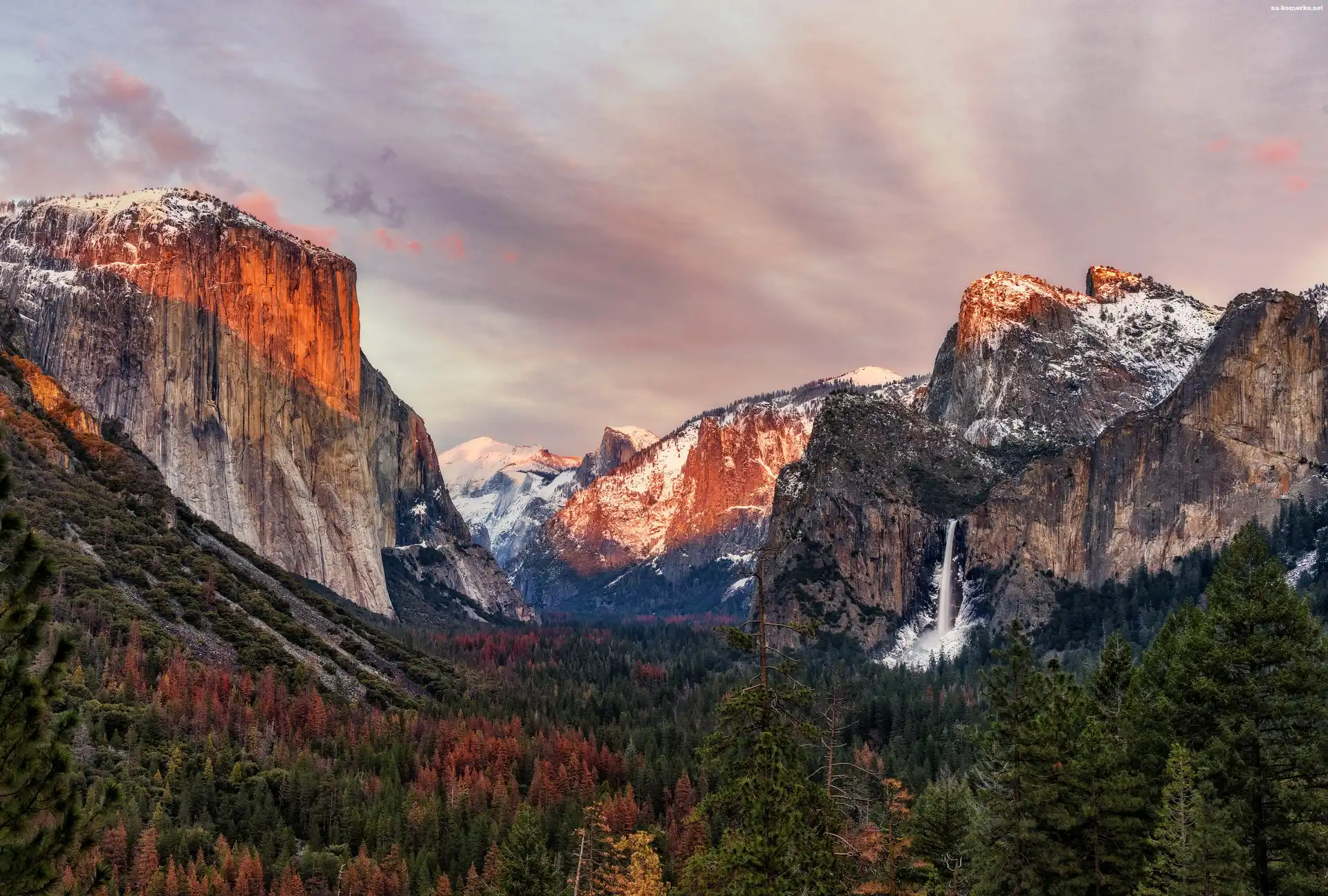 Góry, Stan Kalifornia, Stany Zjednoczone, Drzewa, Park Narodowy Yosemite, Las