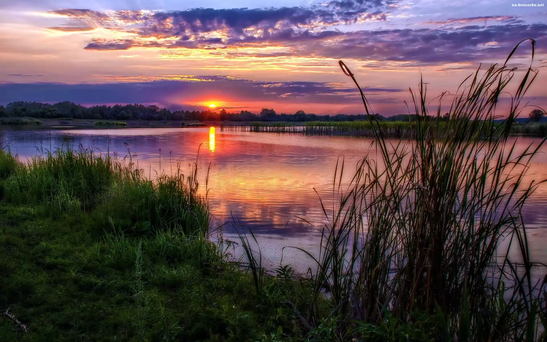 Lasy, Trawy, Rzeka, Słońca, Ścieżka, Zachód