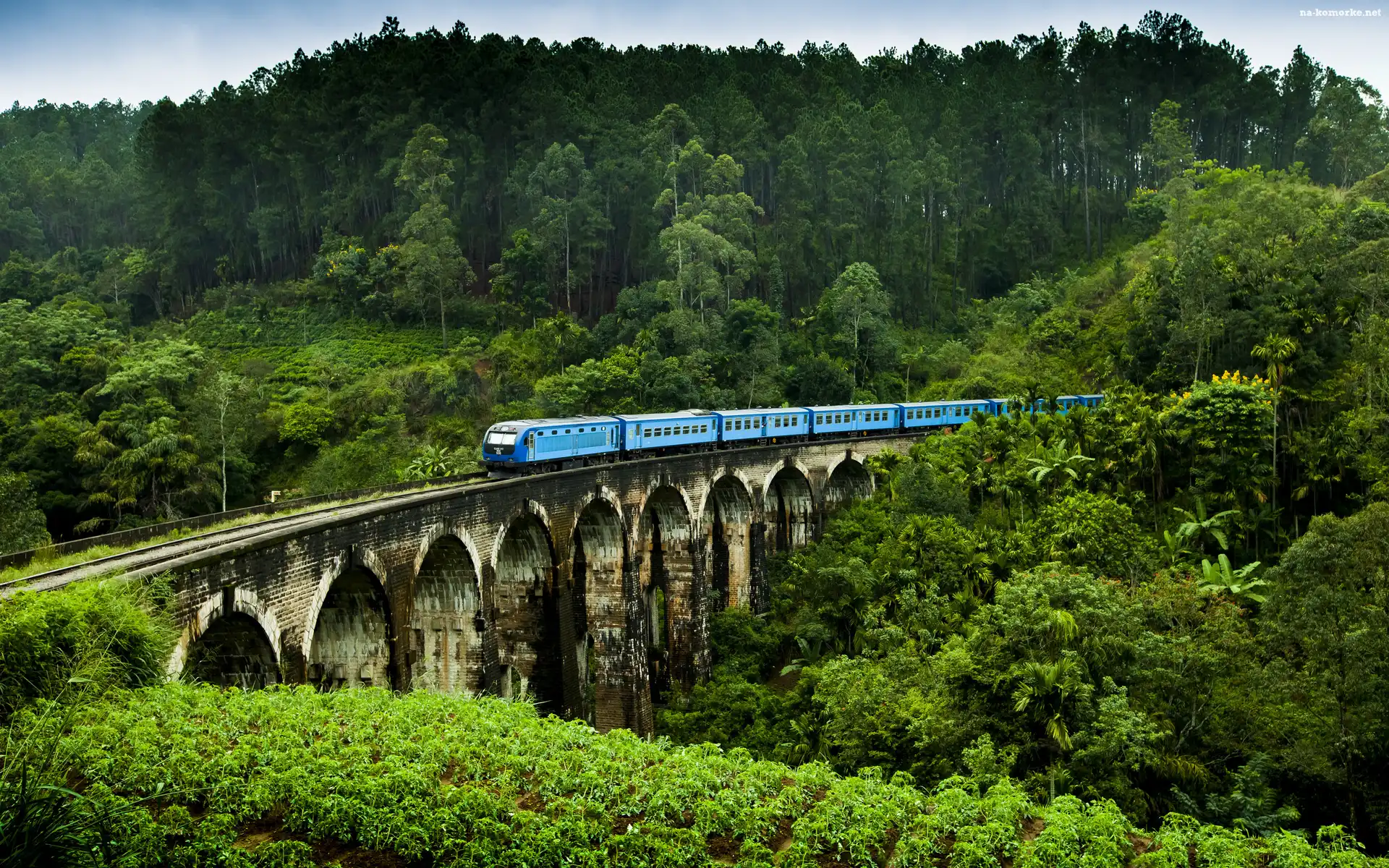 PociÄ…g Elektryczny, Sri Lanka, Demodara, Most Nine Arches Bridge, Lasy