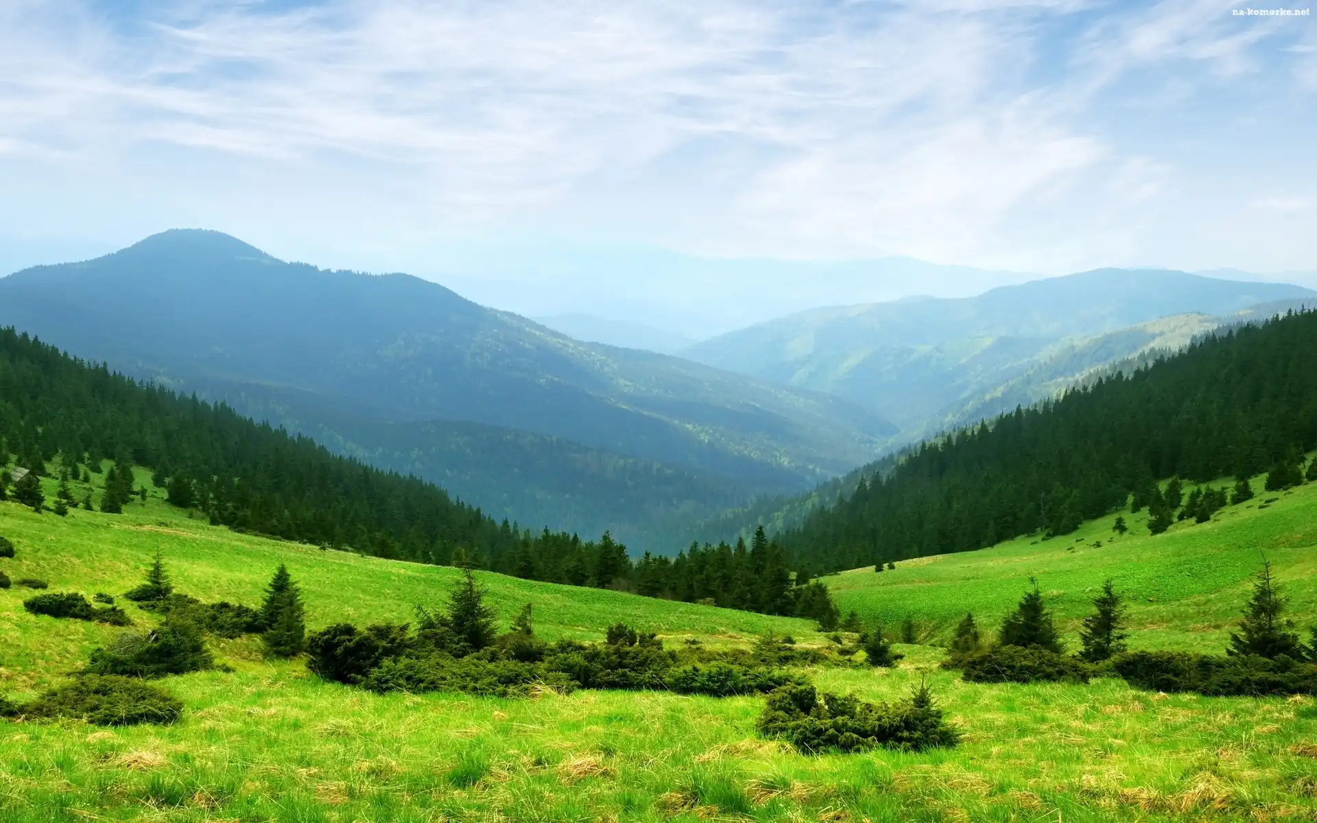 Góry, Lasy, Łąki