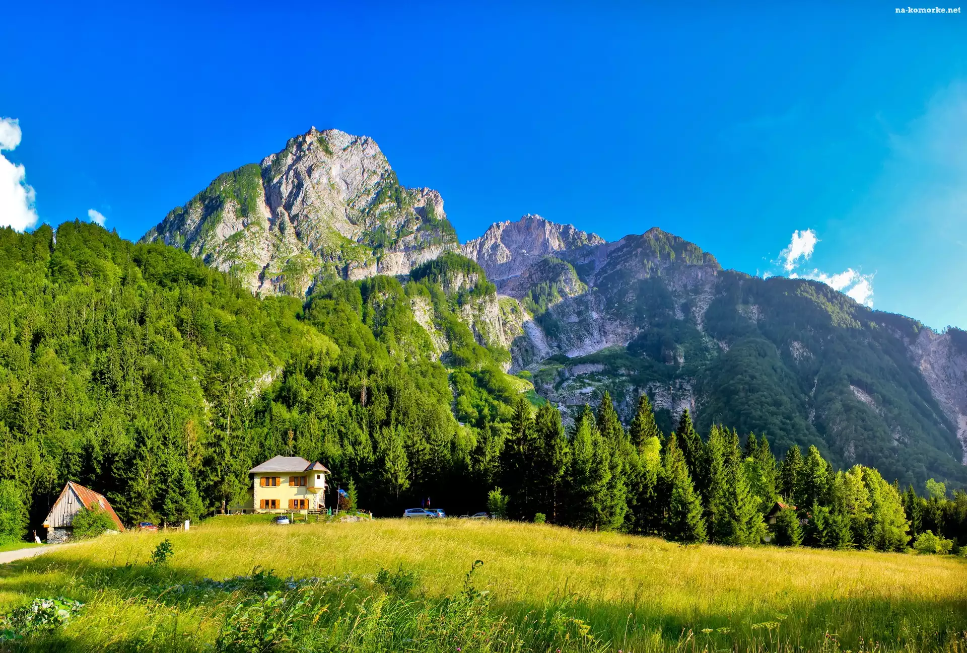 Góry, Lasy, Domy