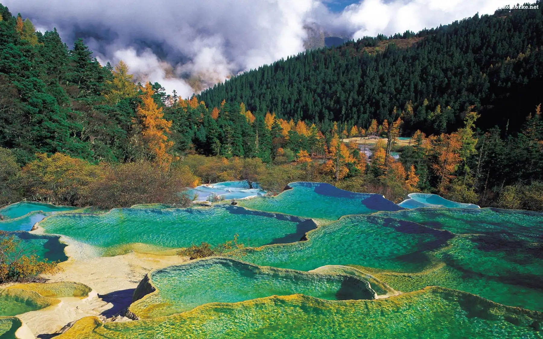 Góry, Lasy, Jeziorka