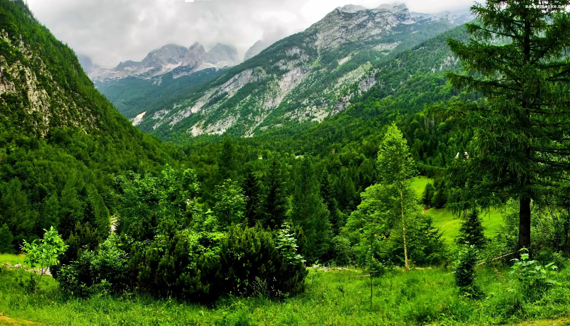 Góry, Lasy, Wiosna