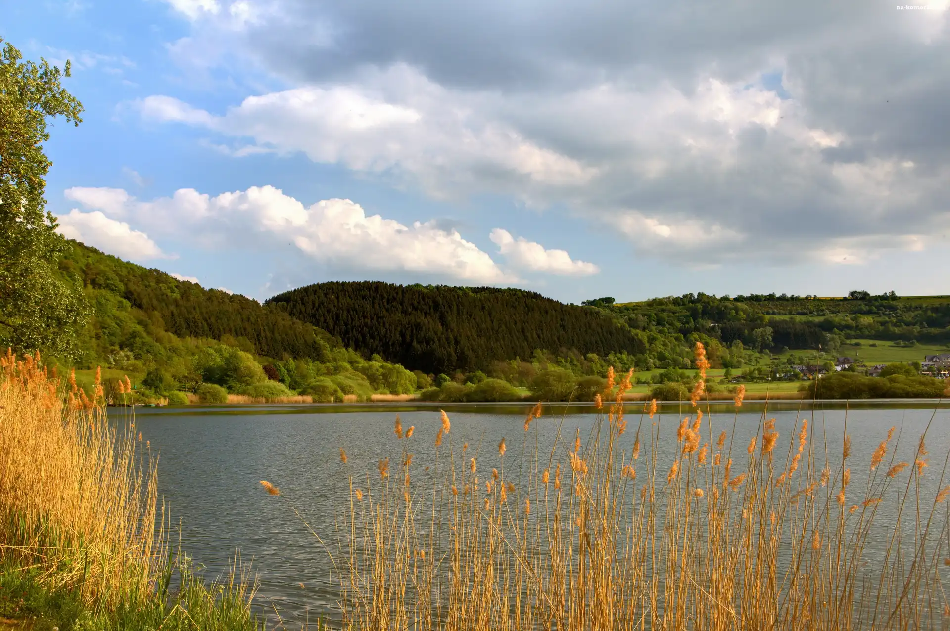 Jezioro, Lasy, Jesień