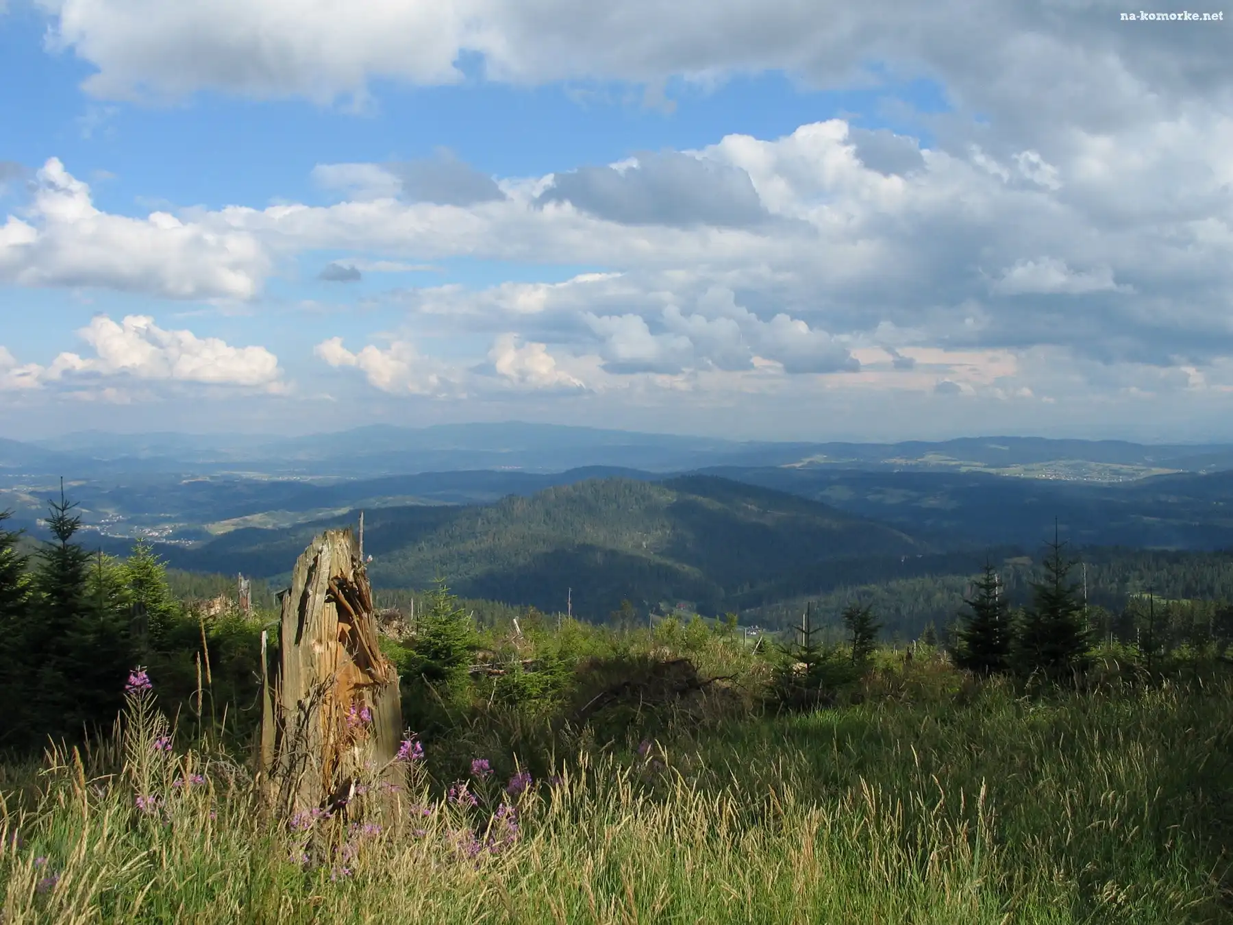 Łąka, Niebo, Lasy, Góry