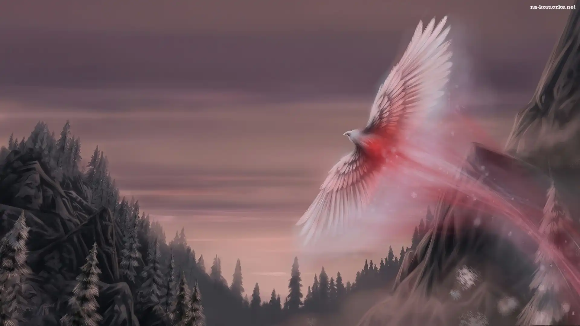 Phoenix, Lasy, Niebo