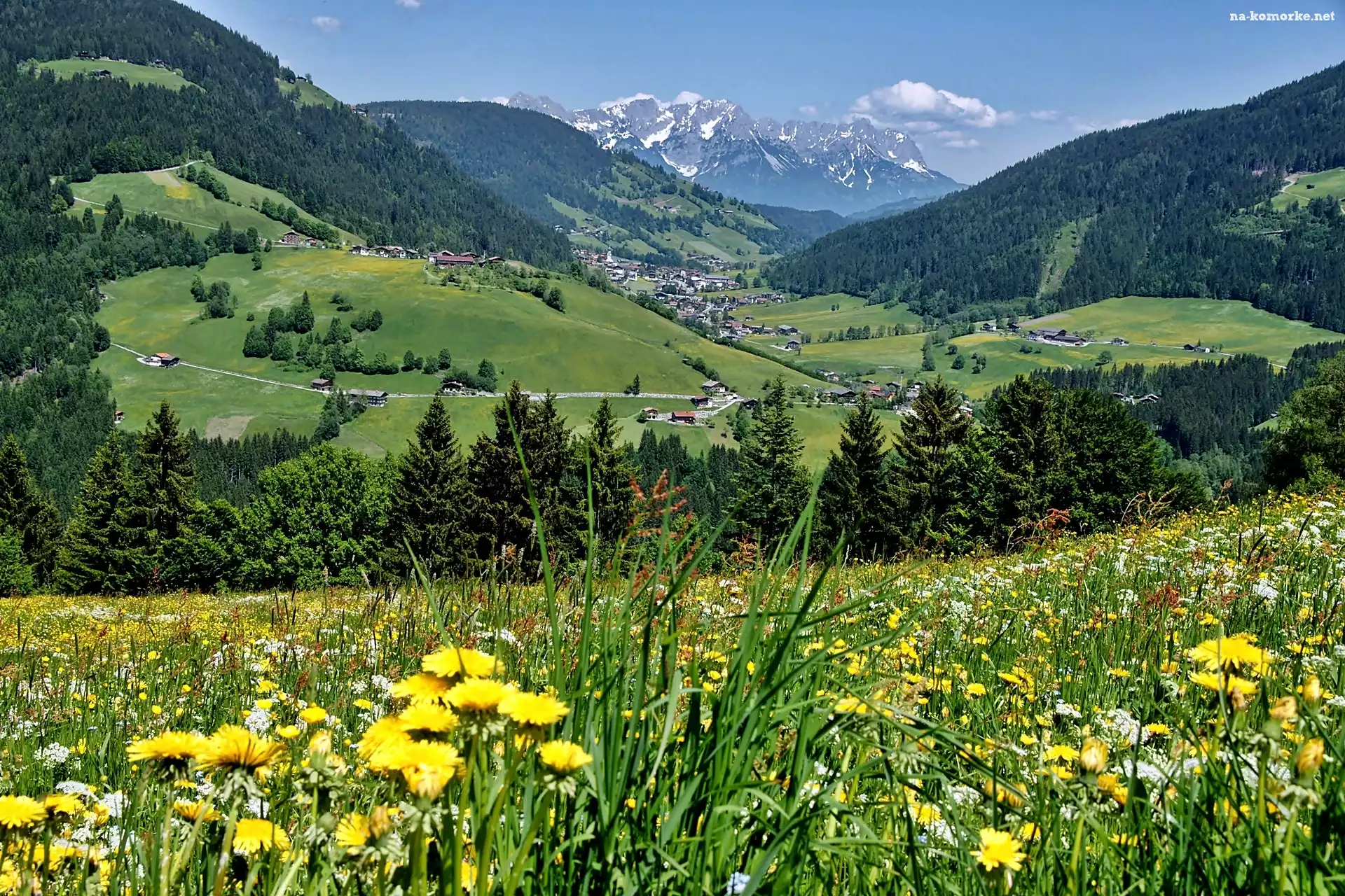 Lasy, Dolina, Tyrol, Wioska, Wildschoenau, Łąka