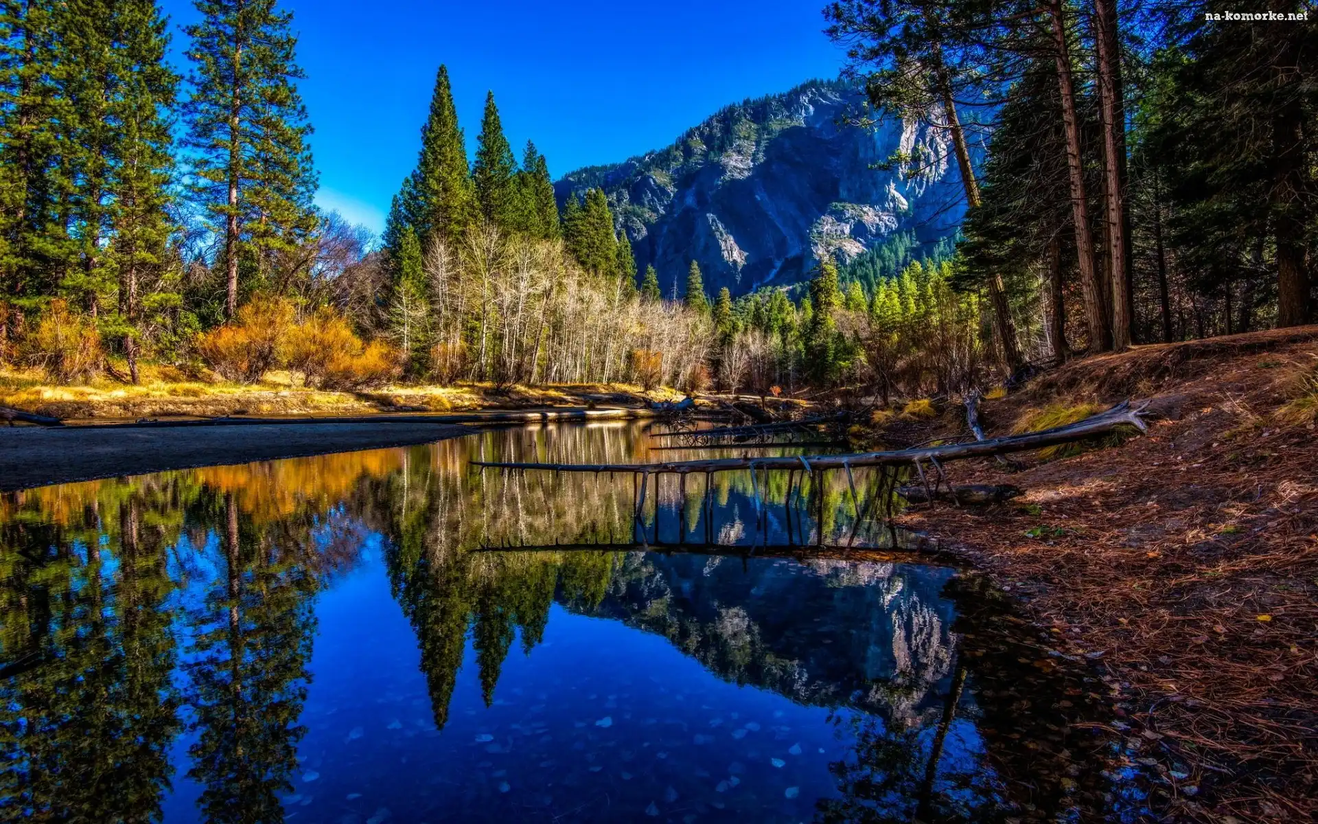 Góry, Stan Kalifornia, Stany Zjednoczone, Rzeka, Park Narodowy Yosemite, Lasy