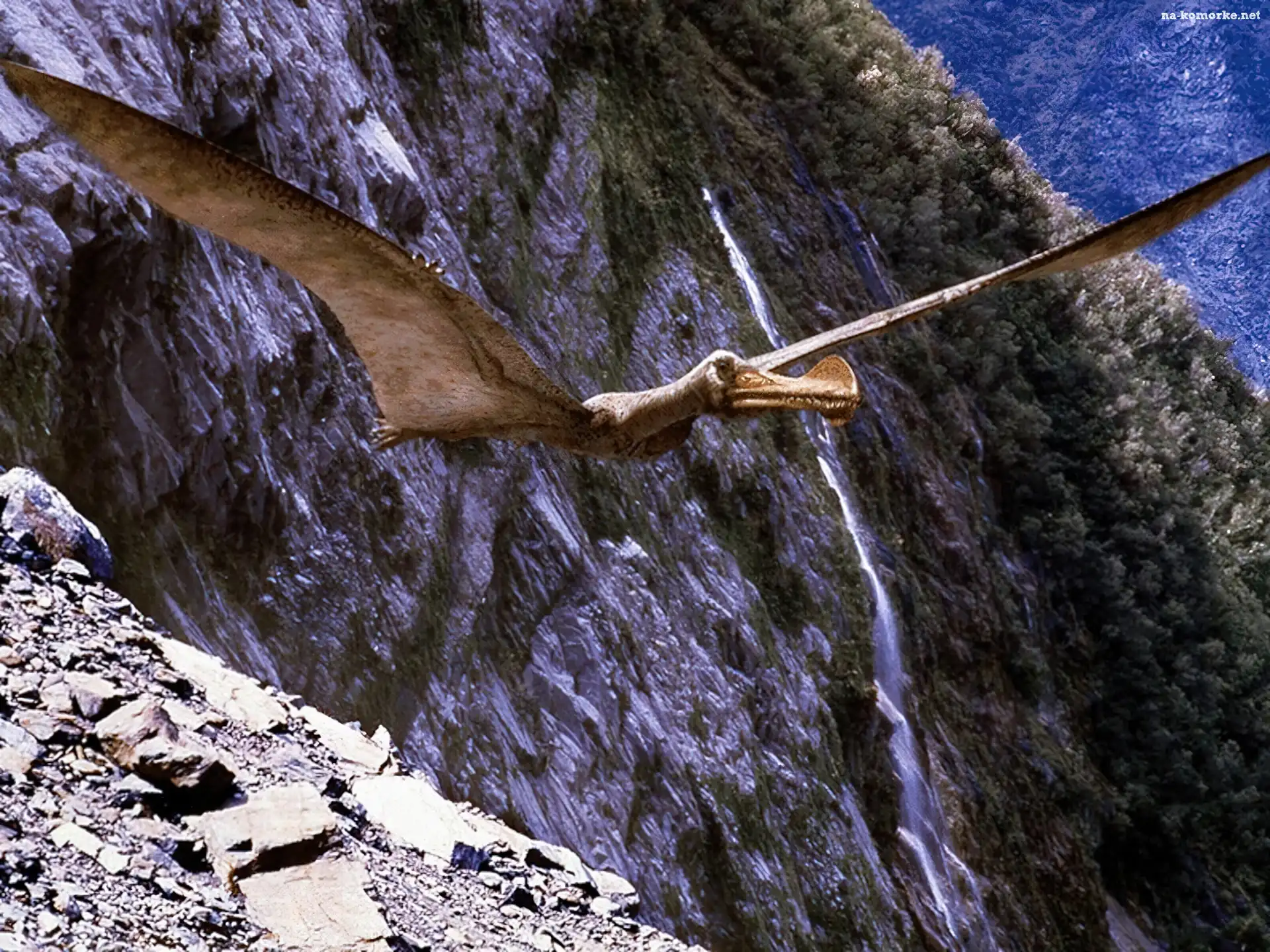 LatajÄ…cy, Pterozaur
