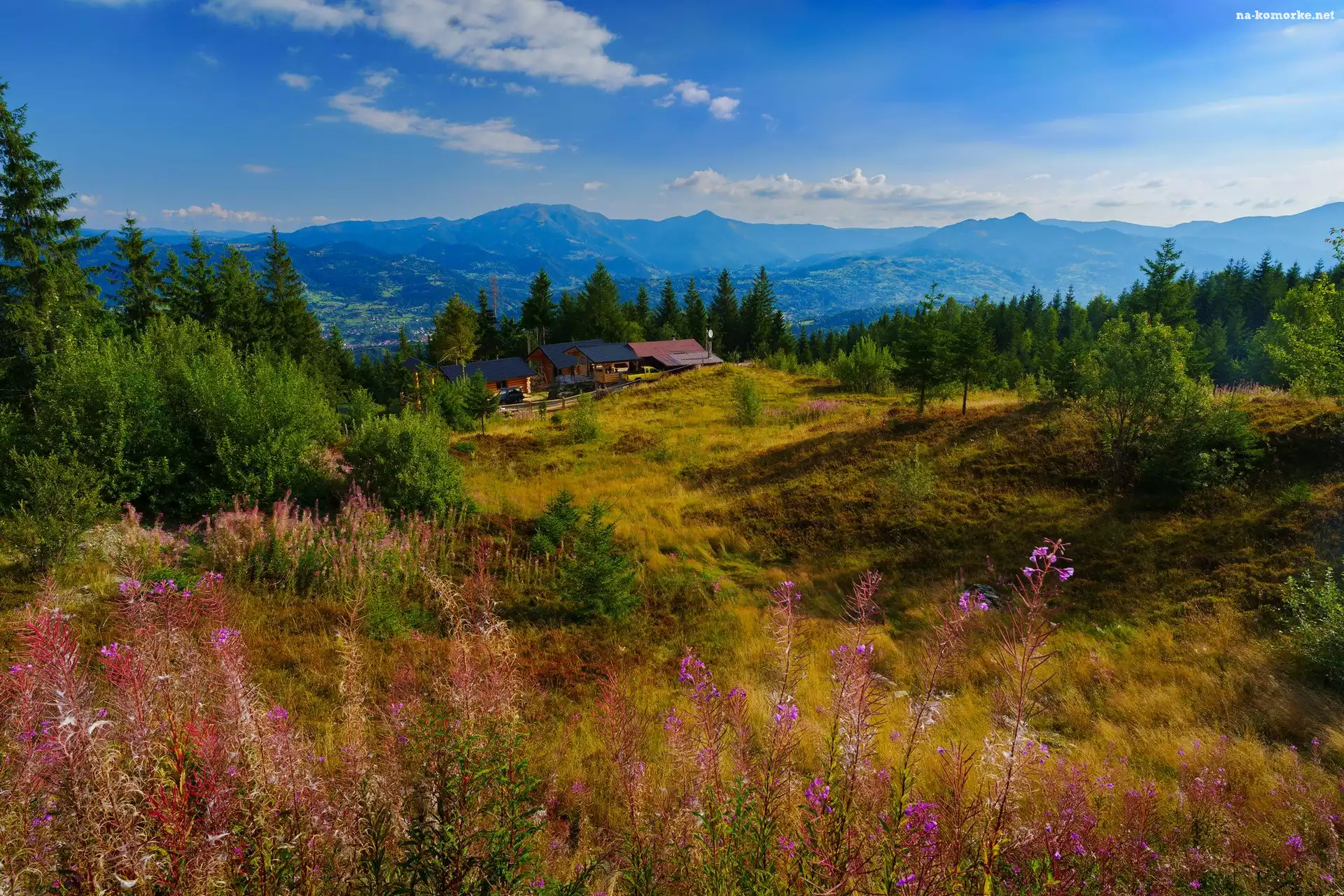 Drzewa, Domy, Rumunia, Lato, Karpaty, Polana, Góry