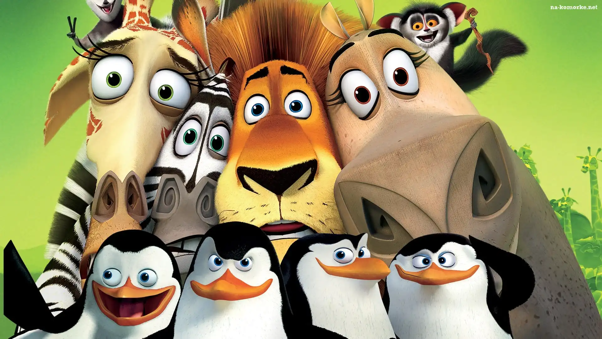 Madagaskar, Lemur, Pingwiny, Żyrafa, Zebra, Lew, Hipopotam