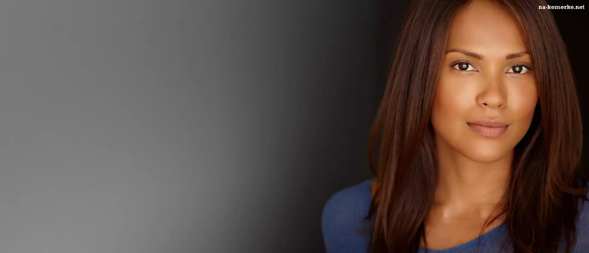 Lesley-Ann Brandt, Aktorka