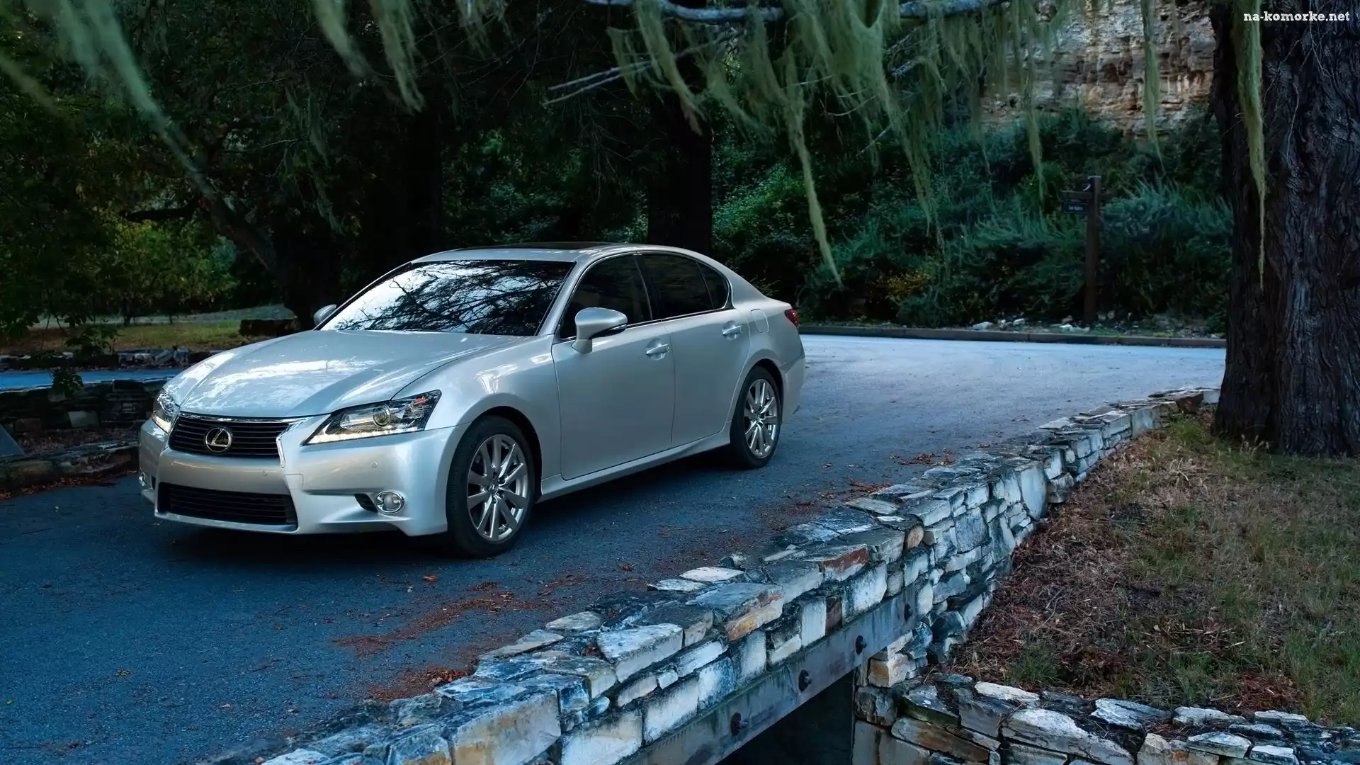 Lexus, GS 350, Drzewa