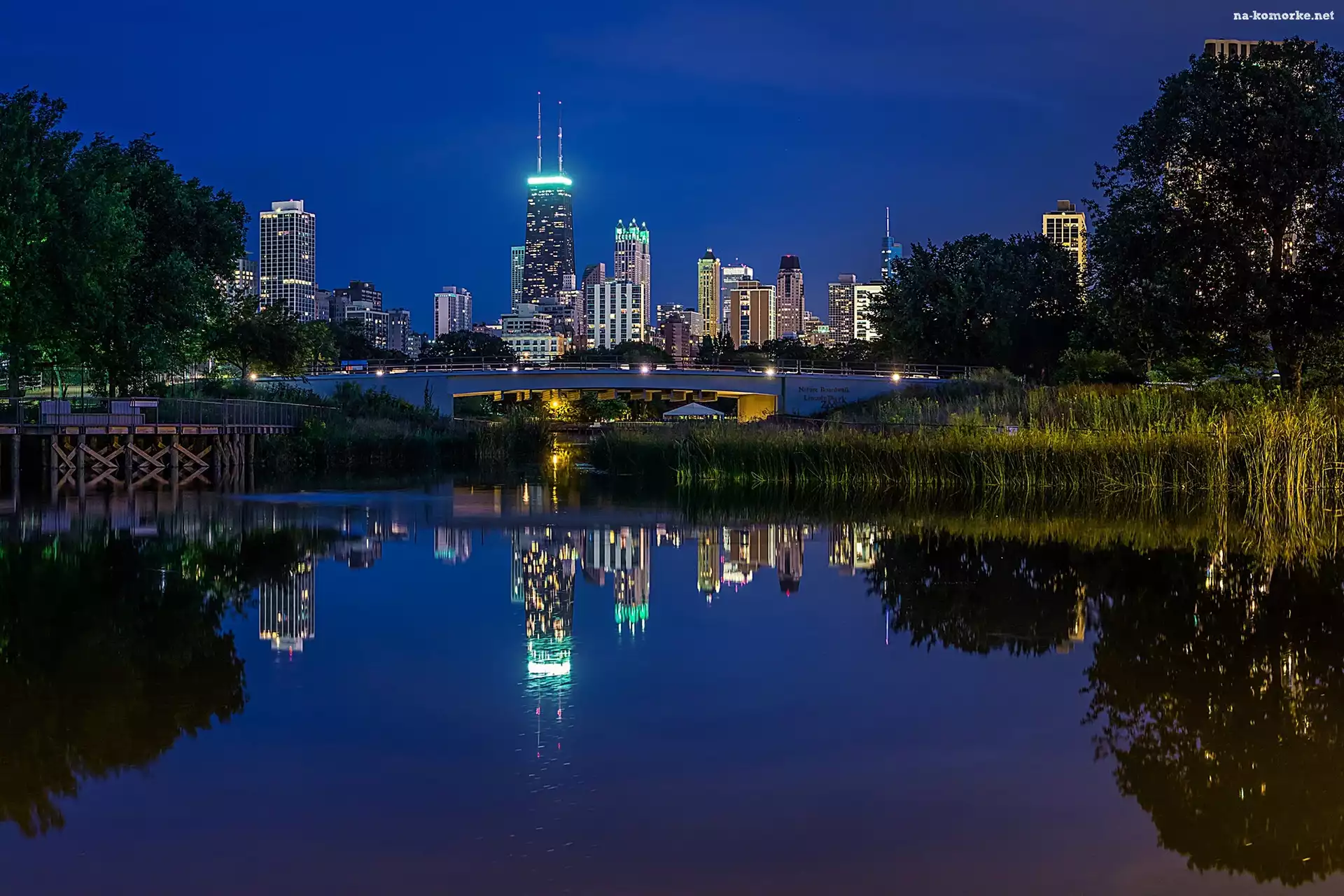 Wieżowce, Lincoln Park, Chicago, Noc, USA, Most