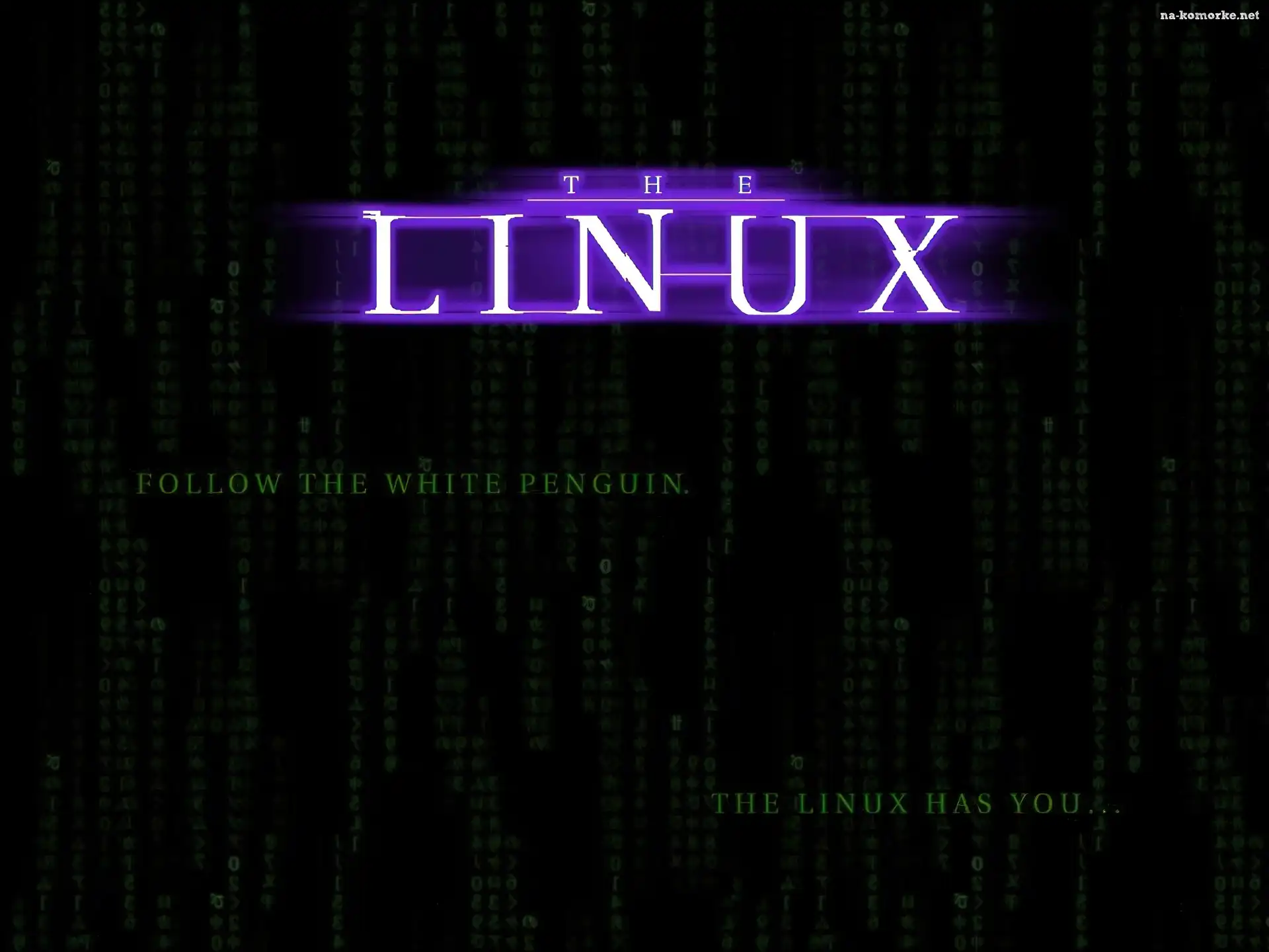 Linux, grafika