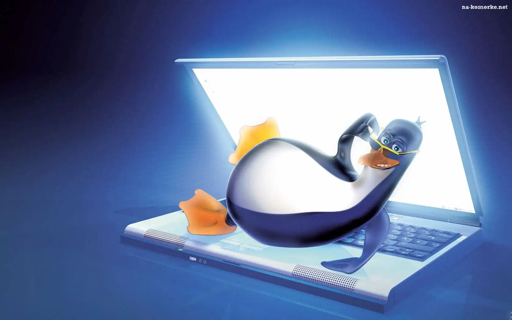 Linux, Laptop