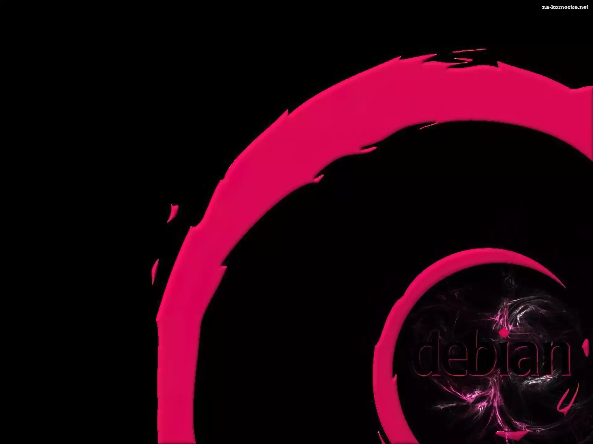 Linux Debian, grafika, muszla, ślimak, zawijas