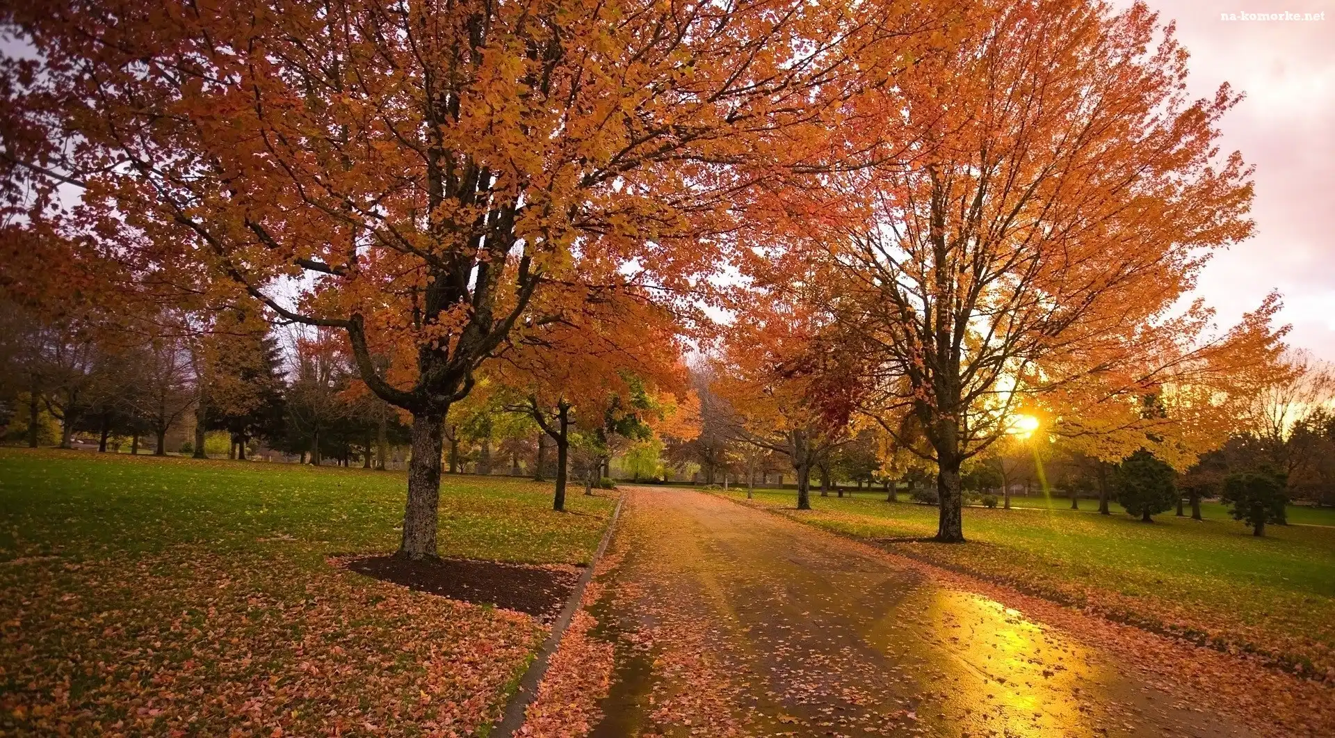 Liście, Jesień, Park, Alejka, Słońce